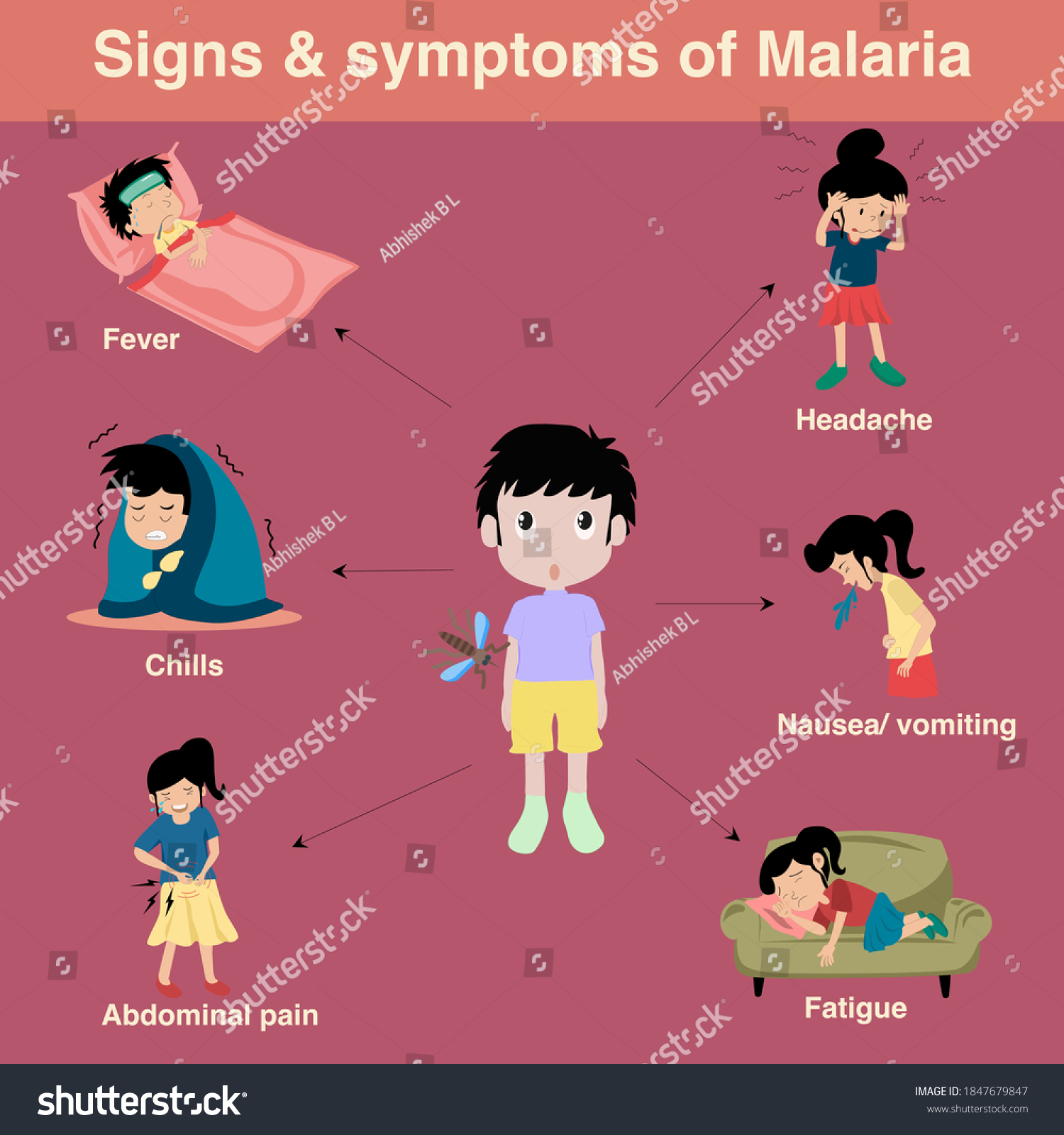 Malaria Transmitted Mosquito Signs Symptoms Fever Stock Vector (Royalty ...