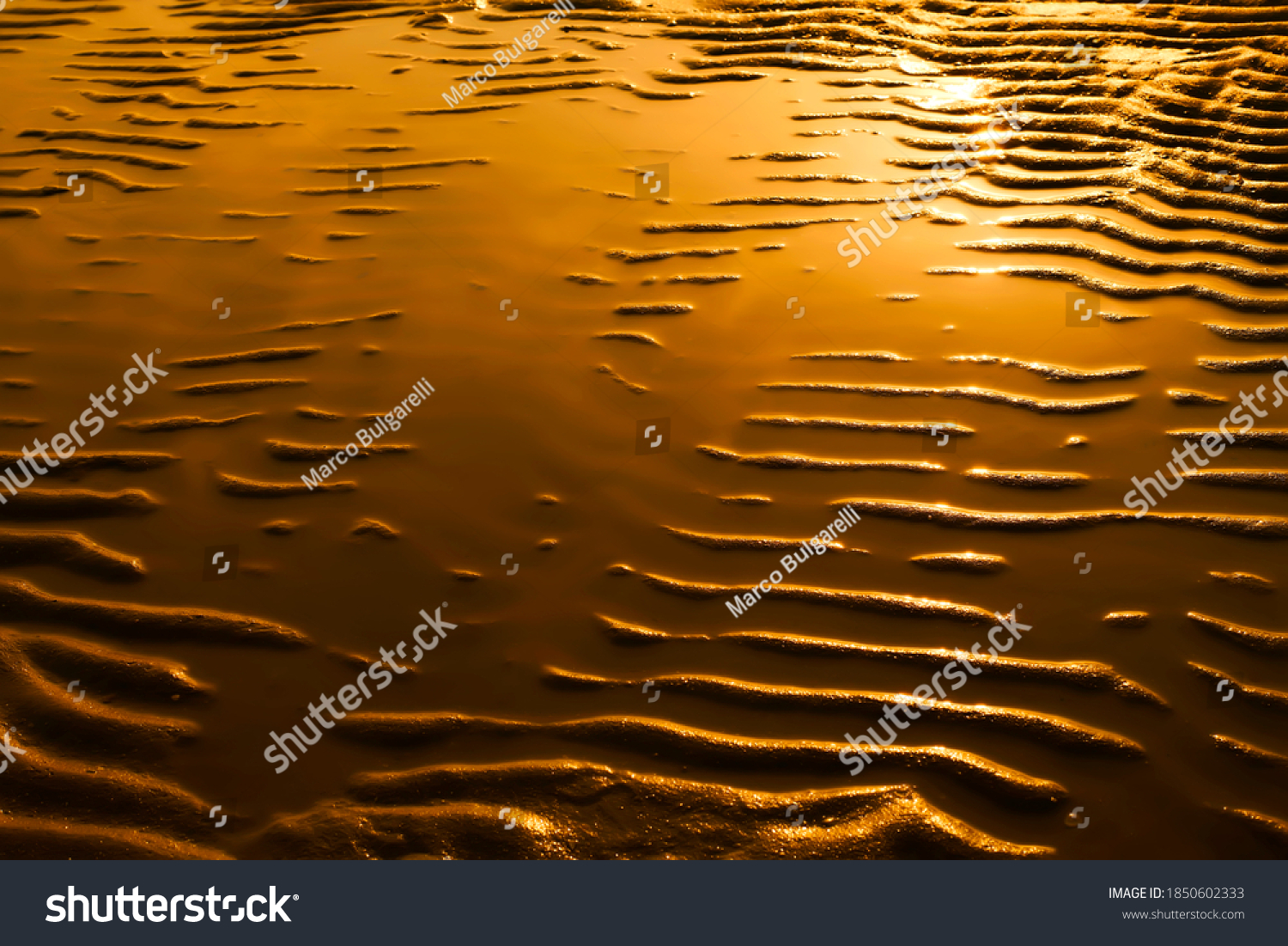 Curvy Golden Beach Water Reflex Direct Stock Photo 1850602333 ...