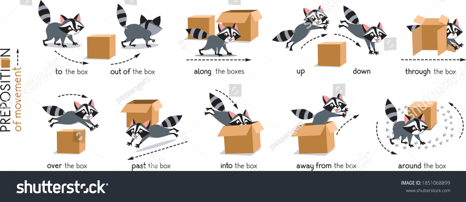 Preposition Movement Raccoon Box Stock Vector Royalty Free 1851068899 Shutterstock