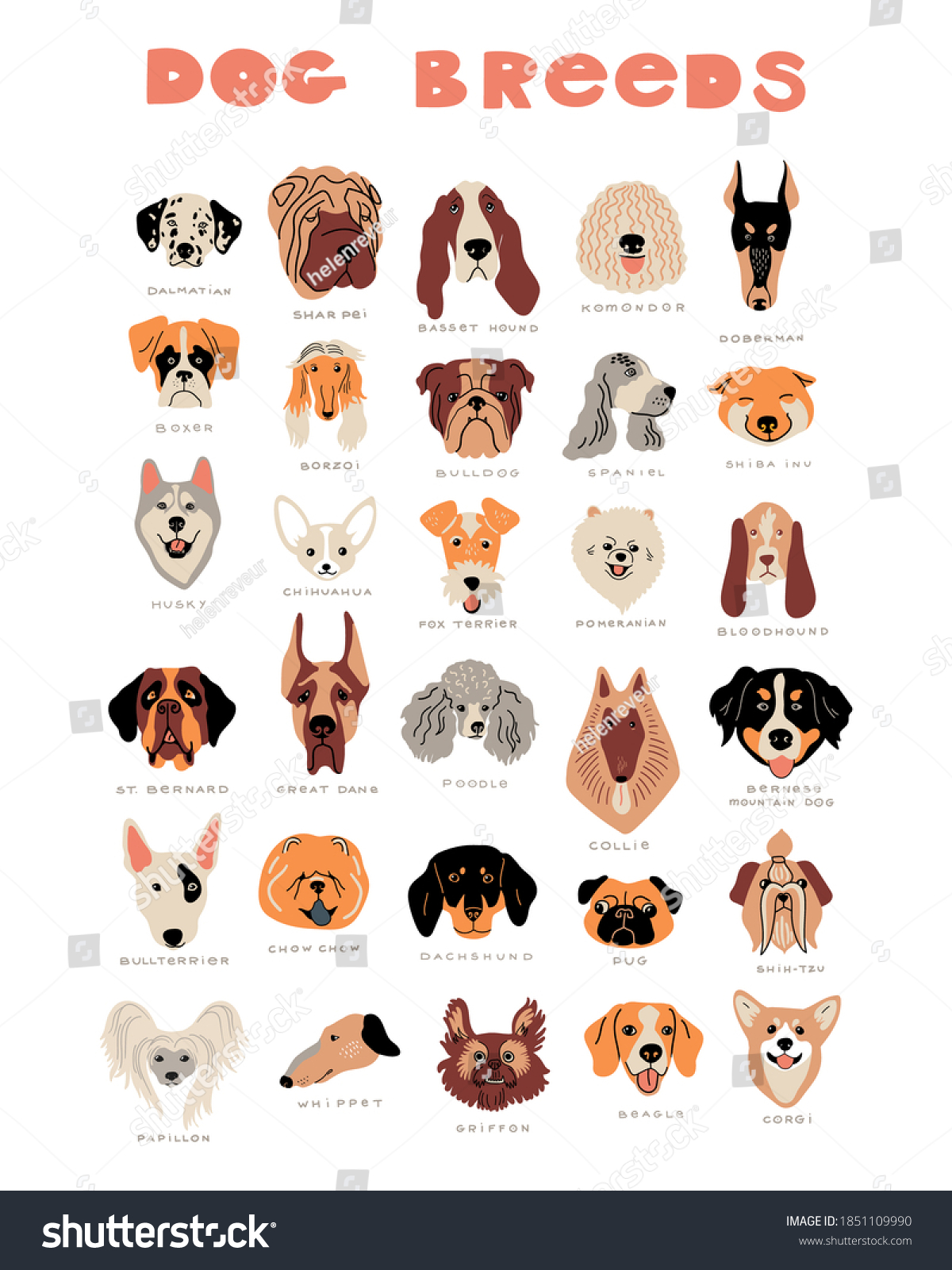 Vector Cartoon Dog Breeds Cute Doodle Stock Vector (Royalty Free ...