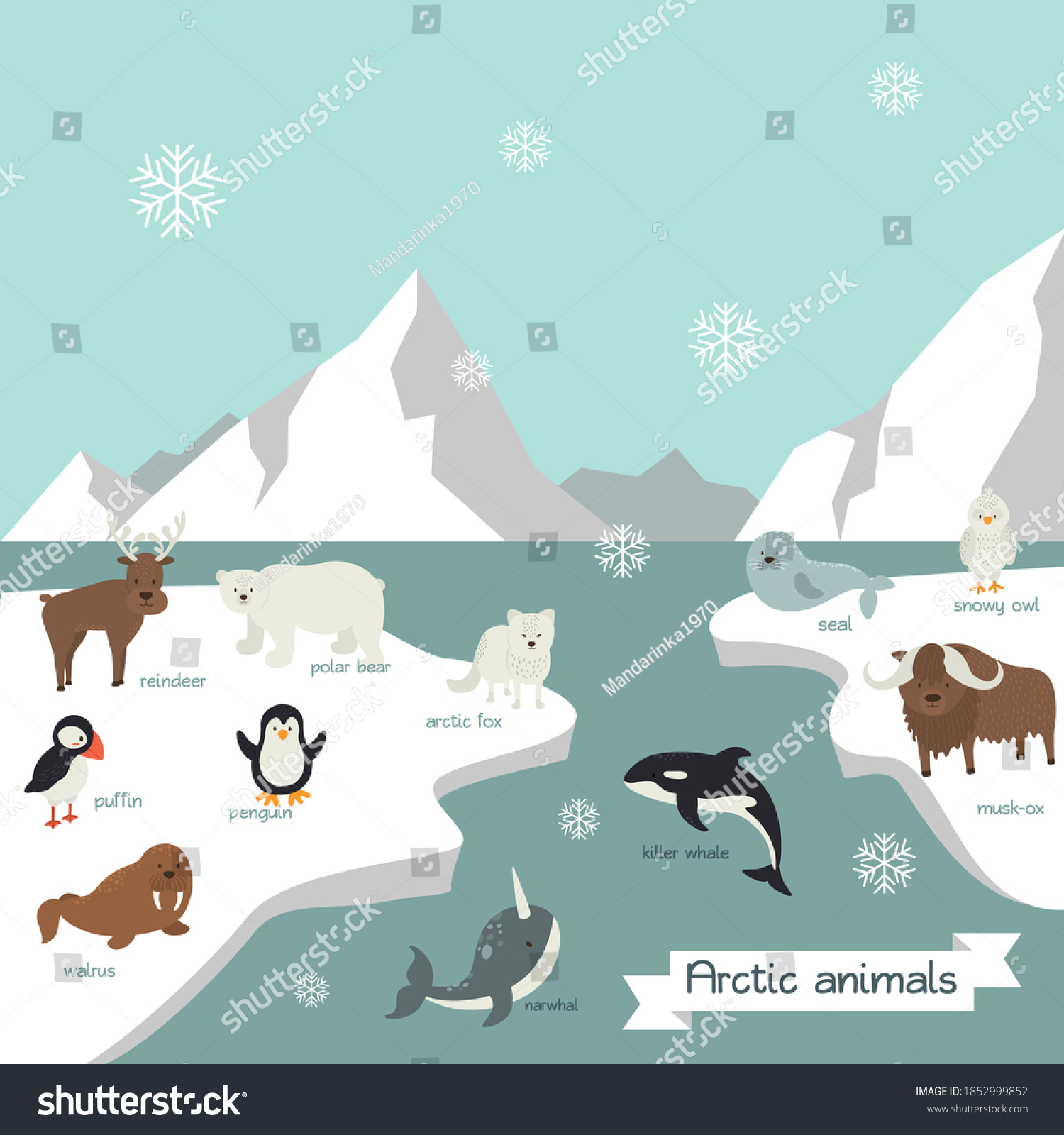 Cartoon Cute Arctic Animals Arctic Animals Stock Vector (Royalty Free ...