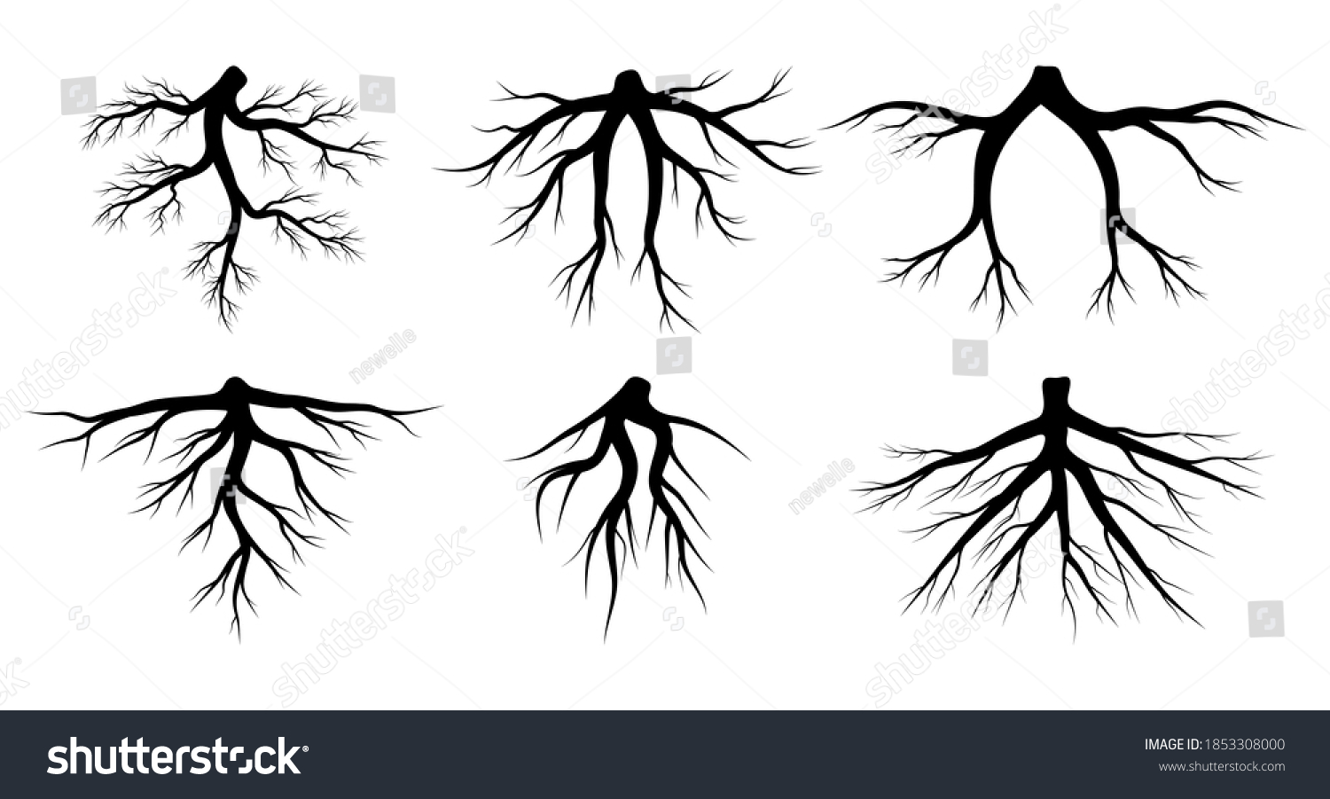 15,647 Plant root system Images, Stock Photos & Vectors | Shutterstock