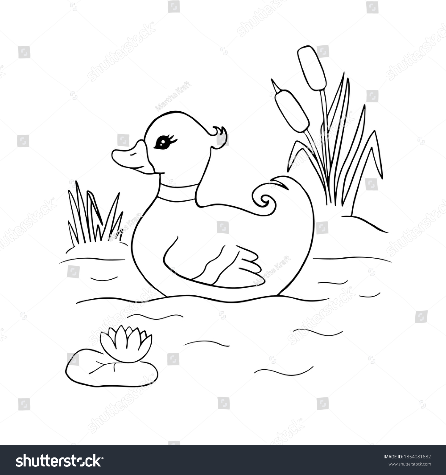 duck pond coloring page