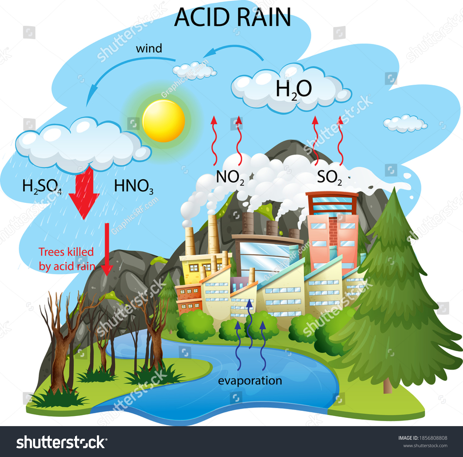 Diagram Showing Acid Rain Pathway On Stock Vector (Royalty Free ...