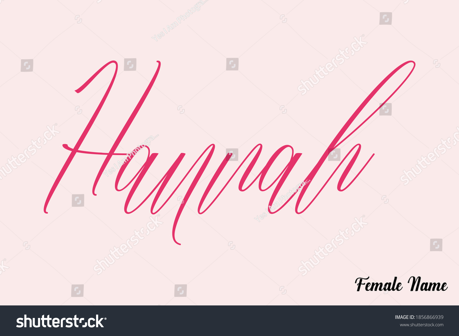 Hannah Female Name Brush Calligraphy Dork Stock Vector Royalty Free