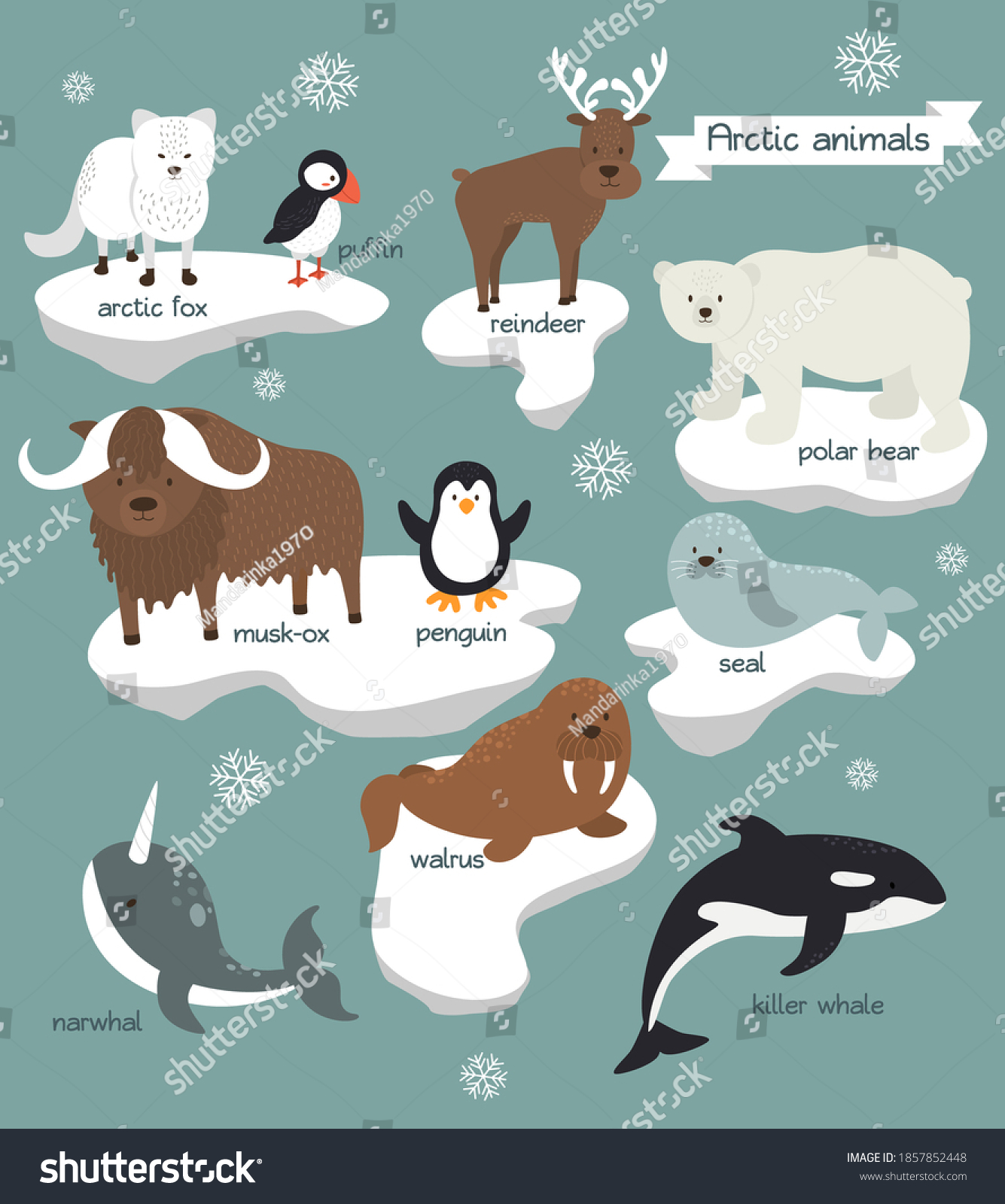 1,132 Ice Bear And Seals Cartoon Images, Stock Photos & Vectors ...