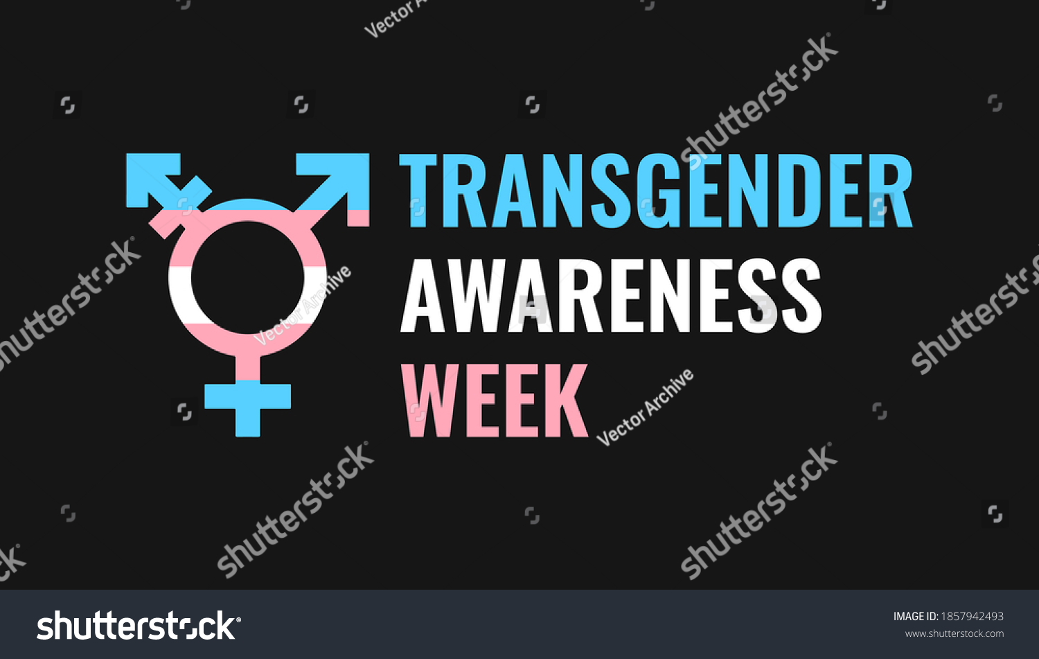 Transgender Awareness Week 2020 Logo Banner Stock Vector Royalty Free