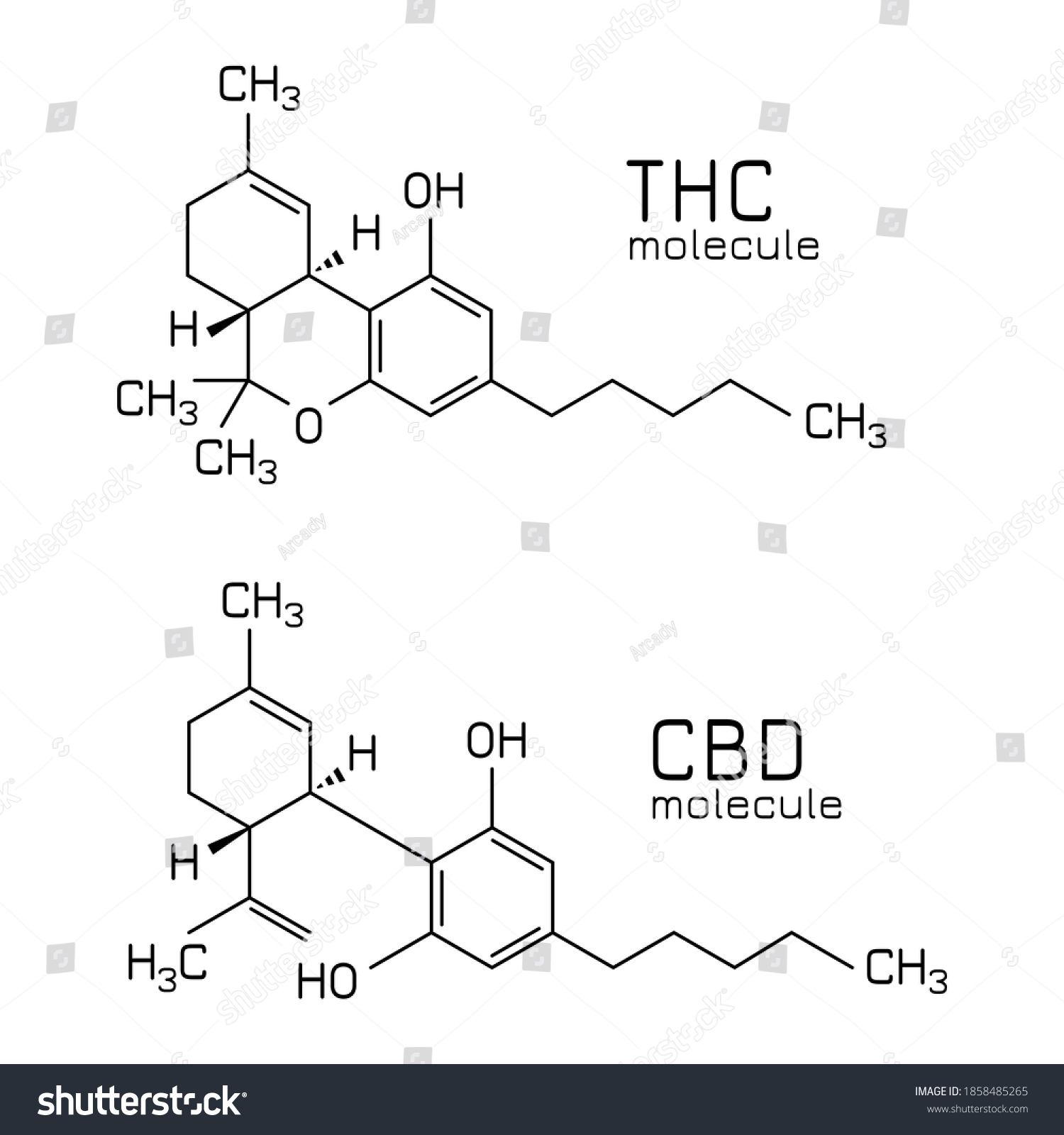 Thc Vs Cbd Molecule Formulas Isolated Stock Vector (Royalty Free ...