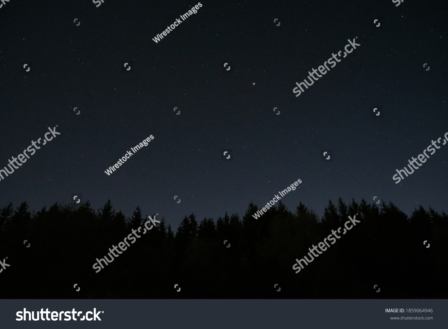 Silhouettes Trees Under Beautiful Starry Sky Stock Photo 1859064946 ...