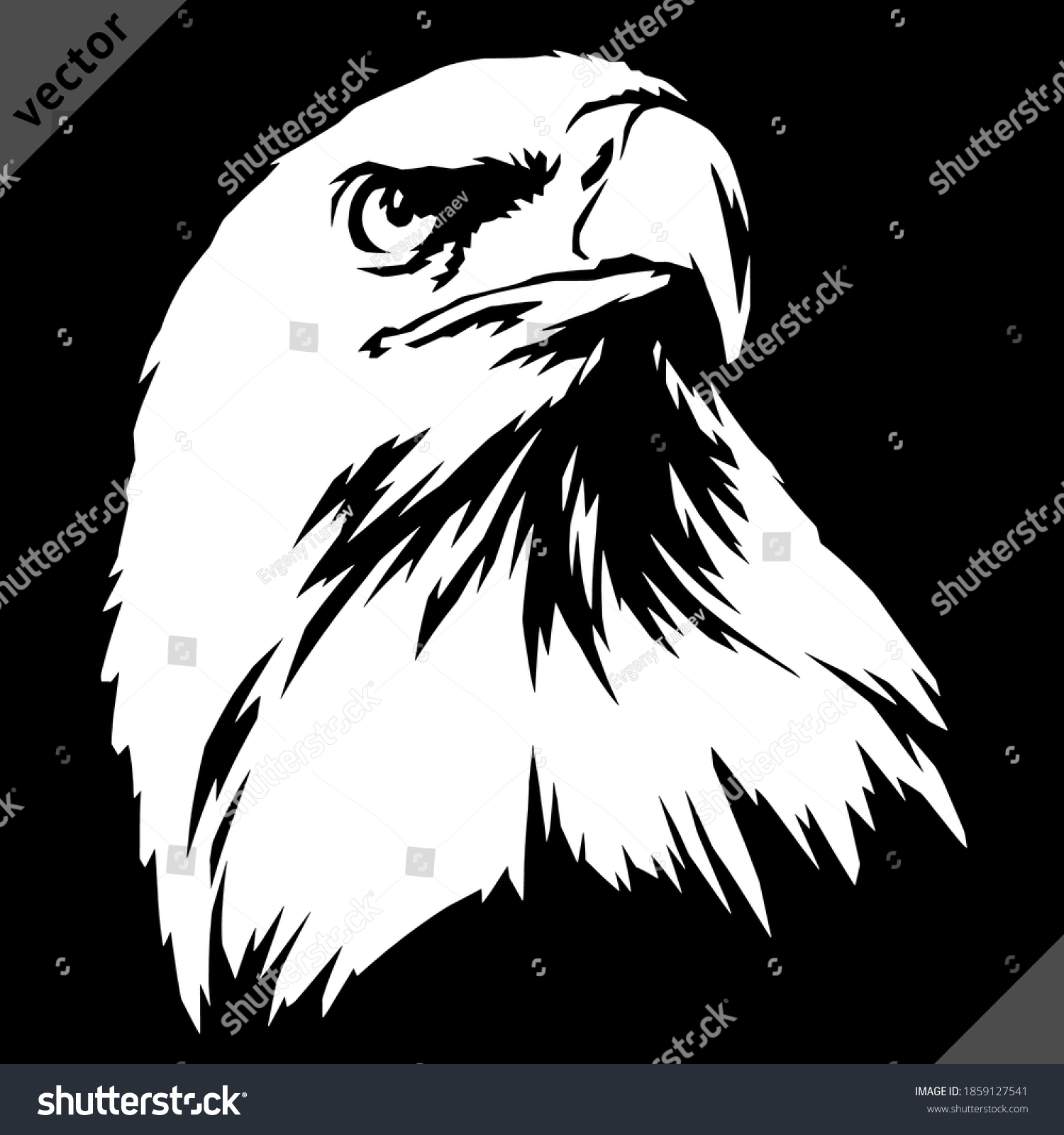 Black White Linear Paint Draw Eagle Stock Vector (Royalty Free ...