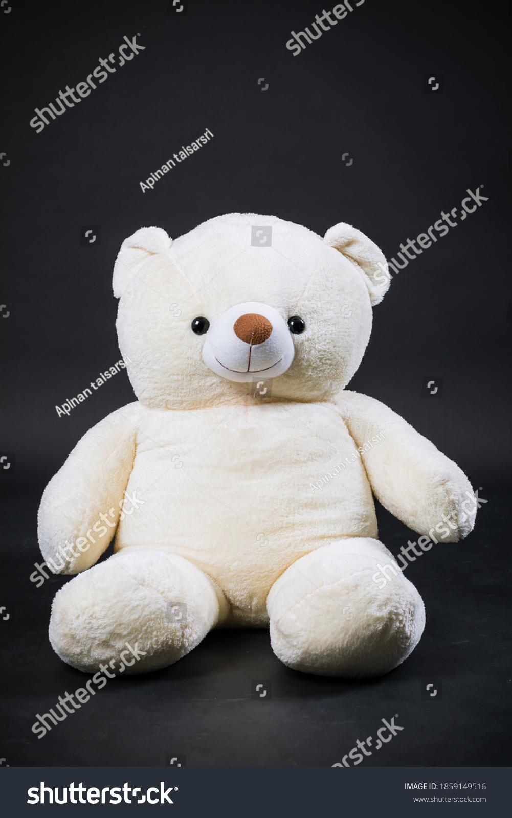 Big White Teddy Bear Black Background Stock Photo 1859149516 | Shutterstock