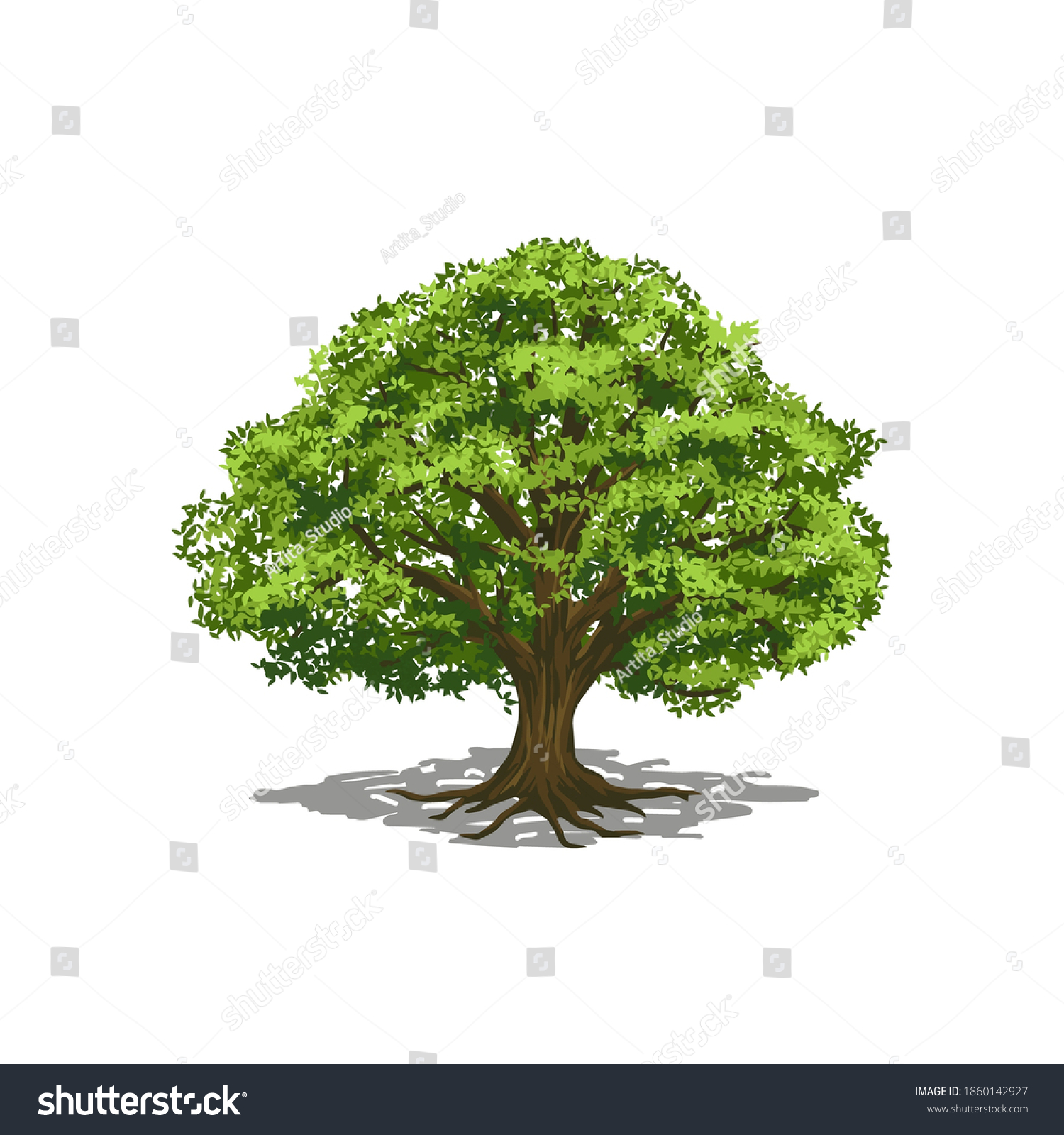 Oak Tree Illustration Isolated Vector Tree Stock Vector (Royalty Free