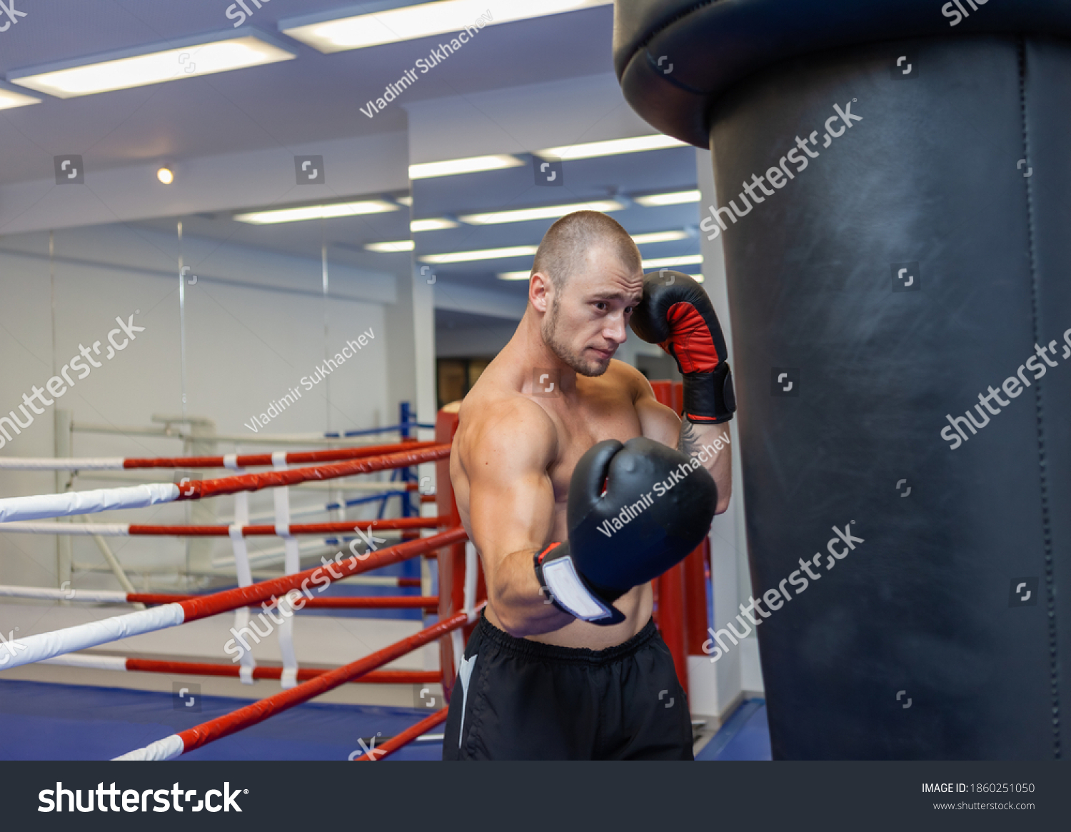 Muscular Man Naked Torso Boxing Gloves Stock Photo Shutterstock