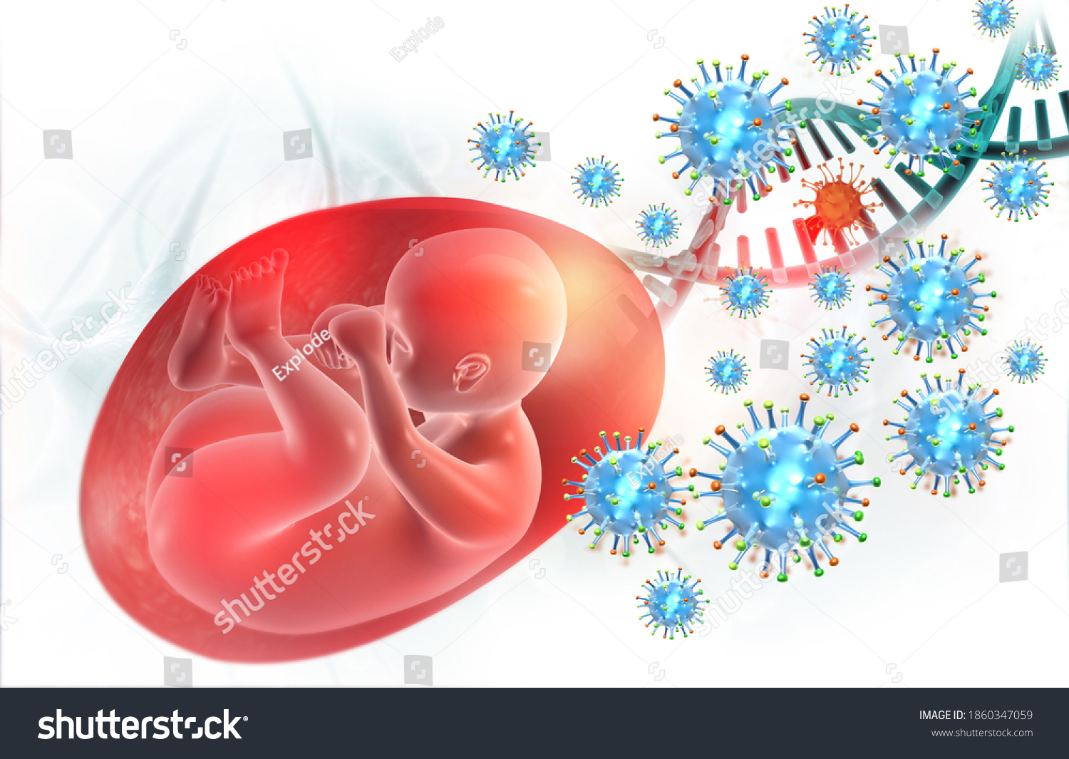 Human Fetus Virus Dna3d Illustration Stock Illustration 1860347059