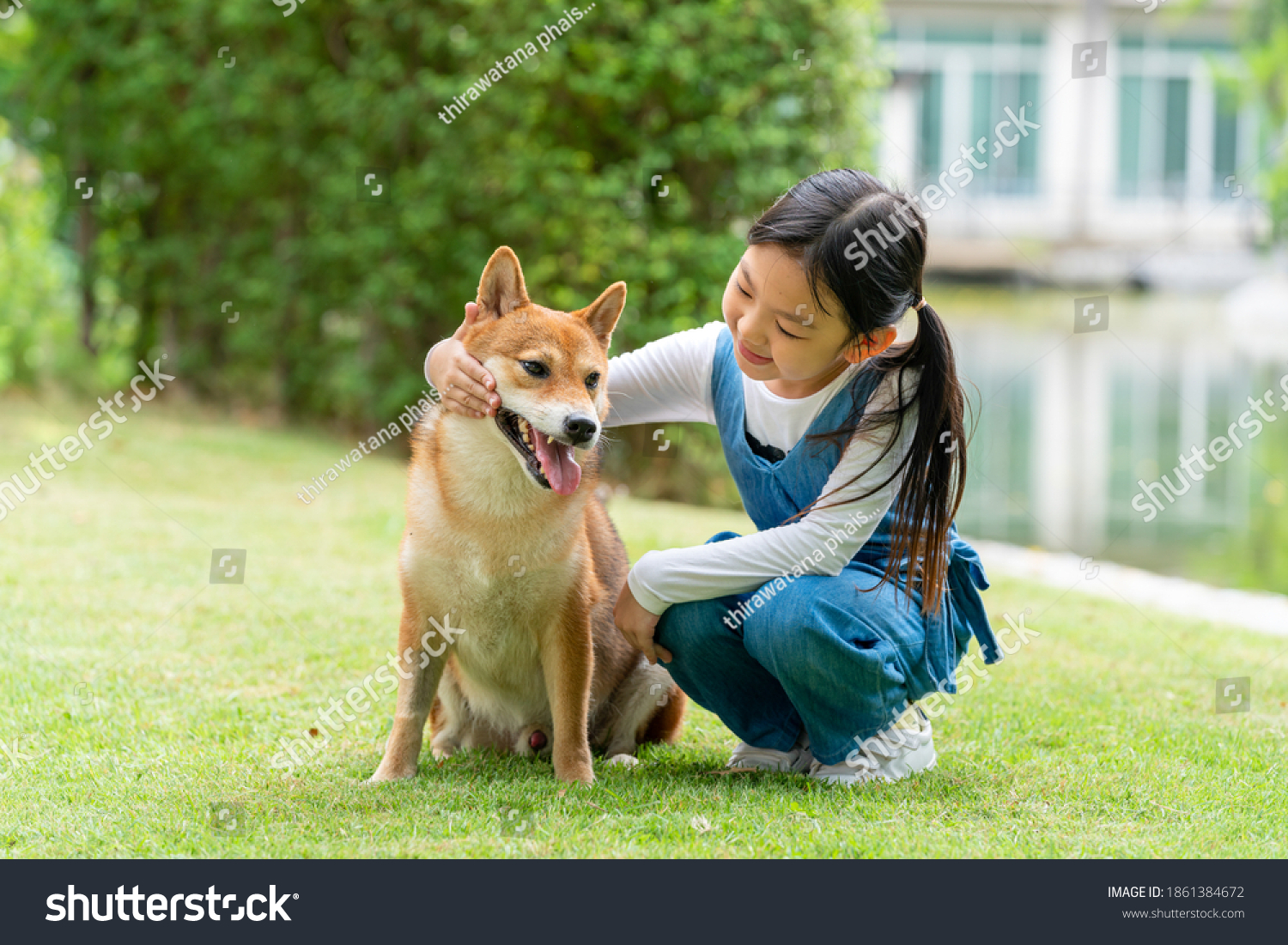 Dog girl japanese: стоковые изображения в HD и миллионы других стоковых фот...