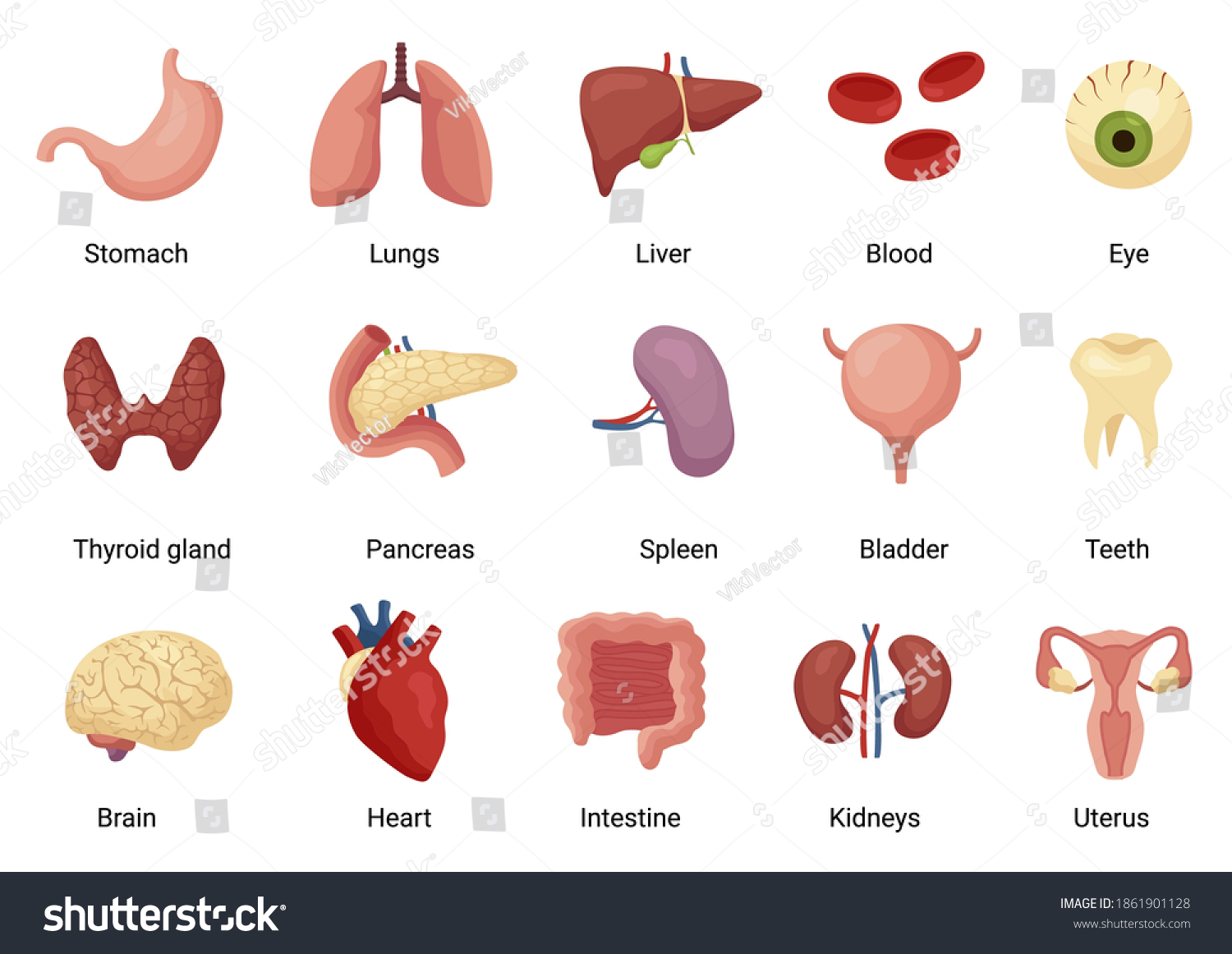 1861901128 Shutterstock 1861901128-shutterstock