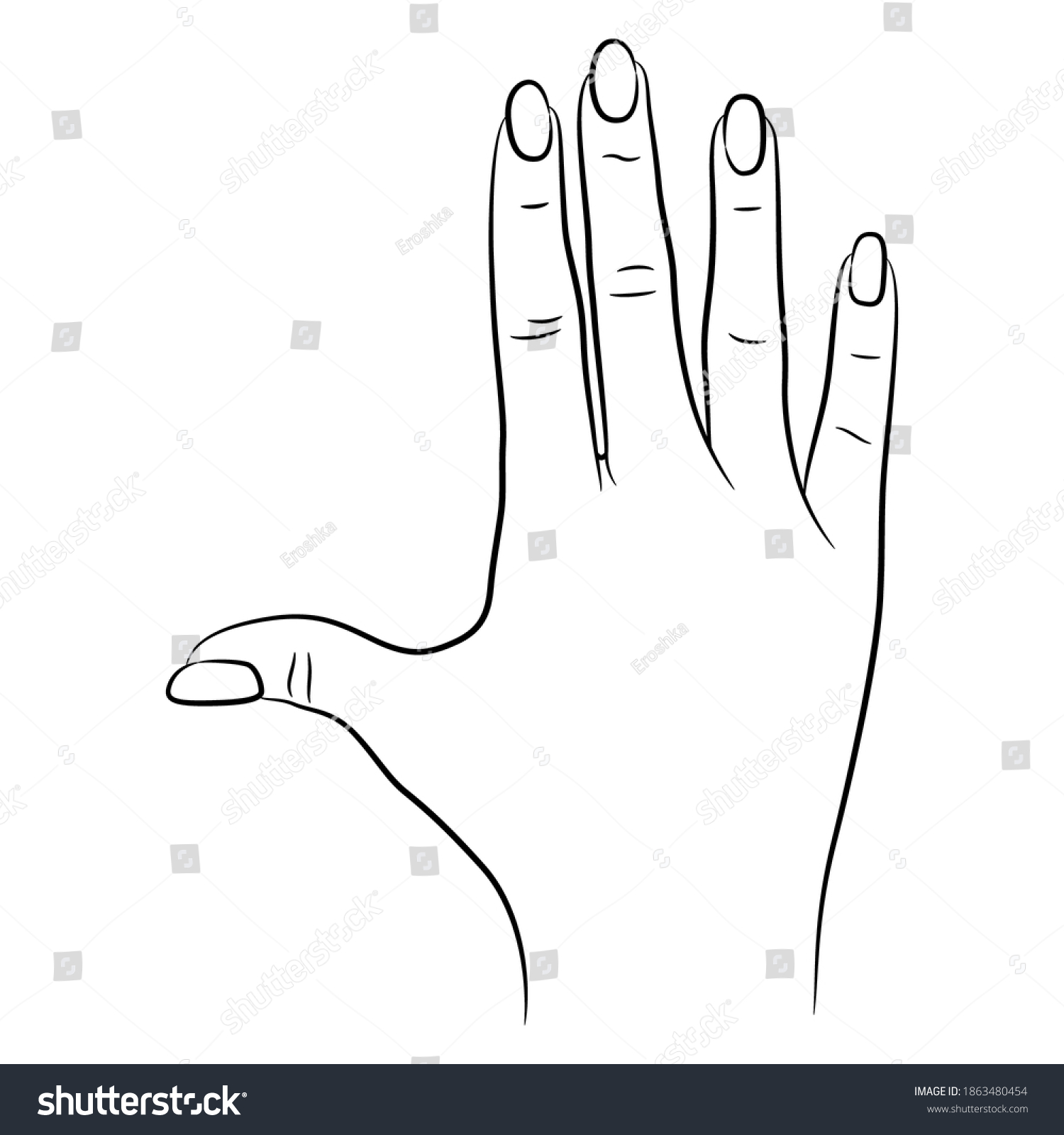 Top View Human Female Hand Black Stock Vector (royalty Free) 1863480454 