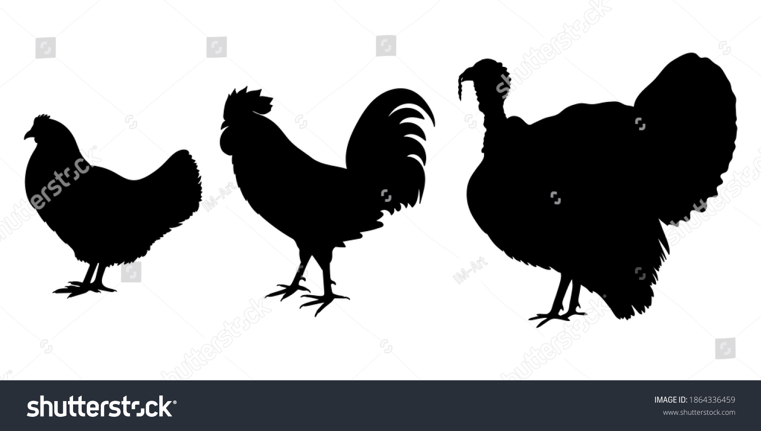 Huhn Hahn Und Puten Schwarze Silhouetten Stock Vektorgrafik Lizenzfrei