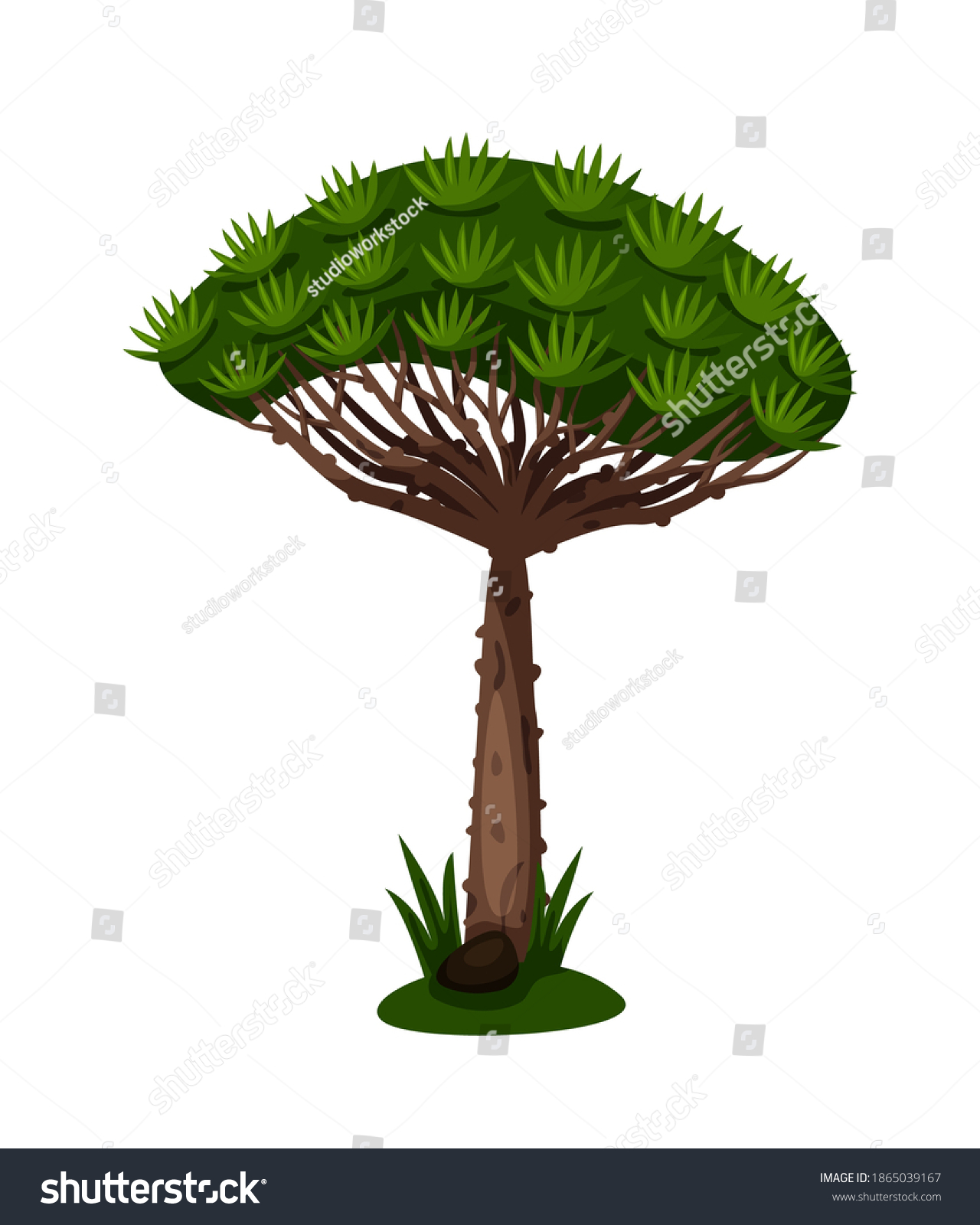 dragon blood tree background clipart