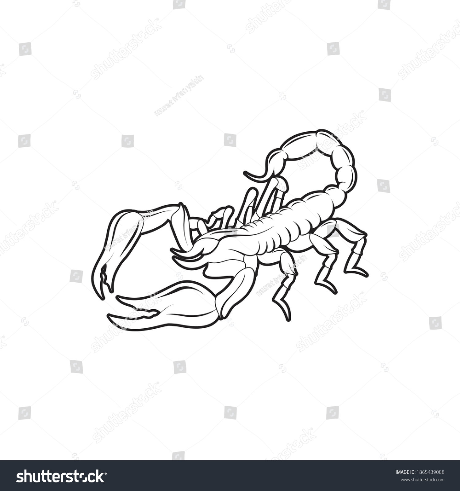 Scorpion Drawing Outer Lines Vector Stock Vector (Royalty Free ...