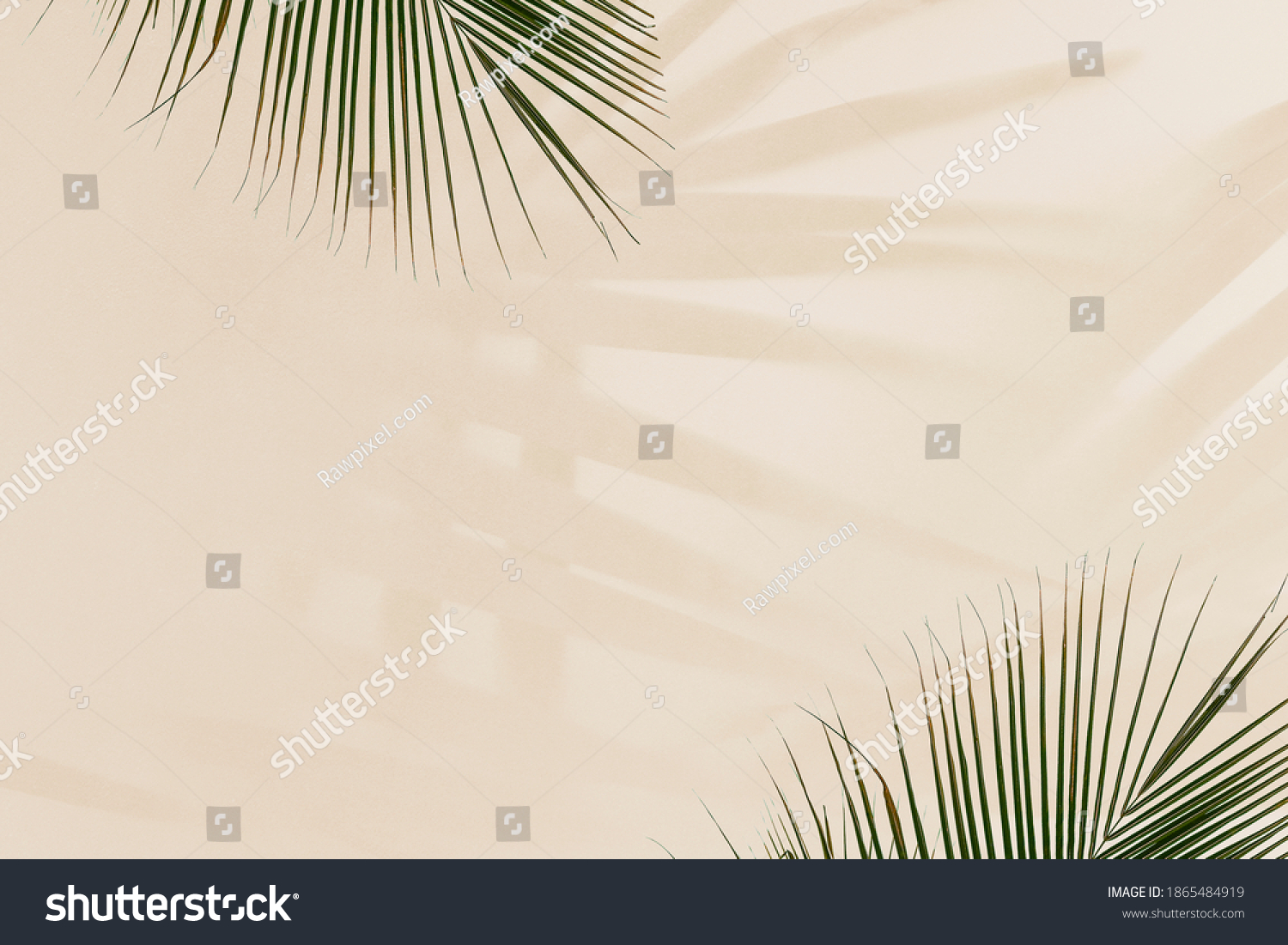 Fresh Palm Leaves On Beige Background Stock Photo 1865484919 | Shutterstock