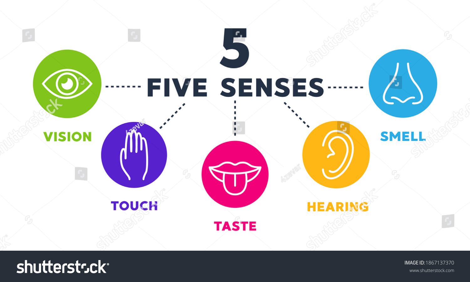 Five Senses Vector Icons Set Vision Stock Vector (Royalty Free ...