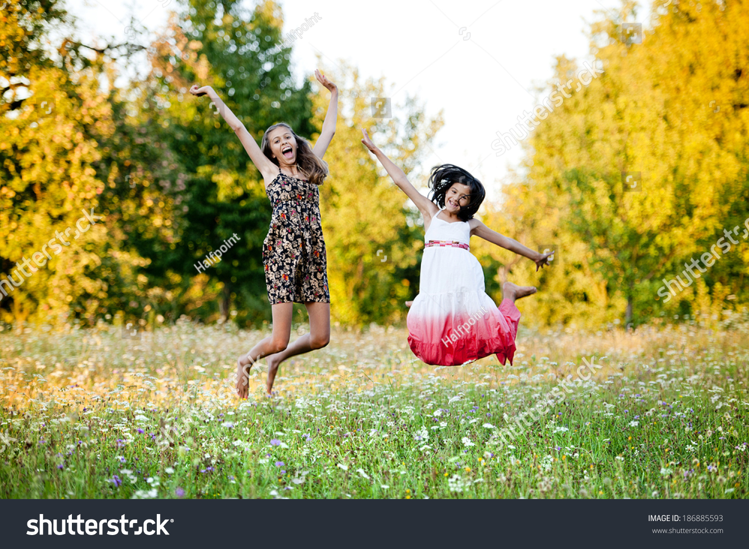 https://image.shutterstock.com/shutterstock/photos/186885593/display_1500/stock-photo-two-sisters-laughing-and-playing-in-green-sunny-park-186885593.jpg