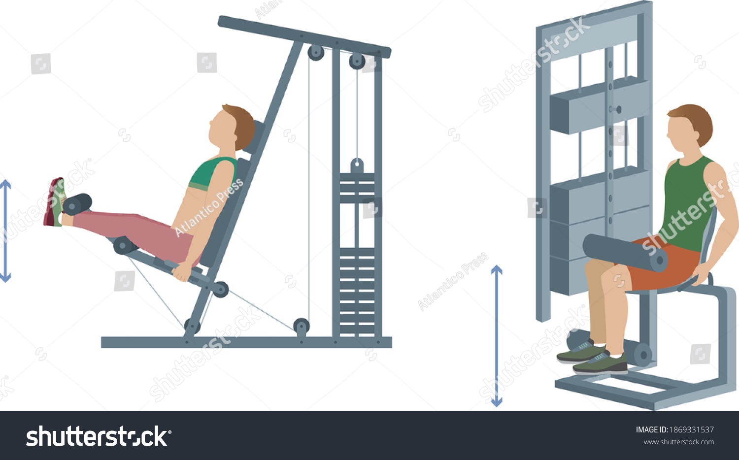 Woman Doing Leg Extensions Man Using Stock Vector (Royalty Free ...