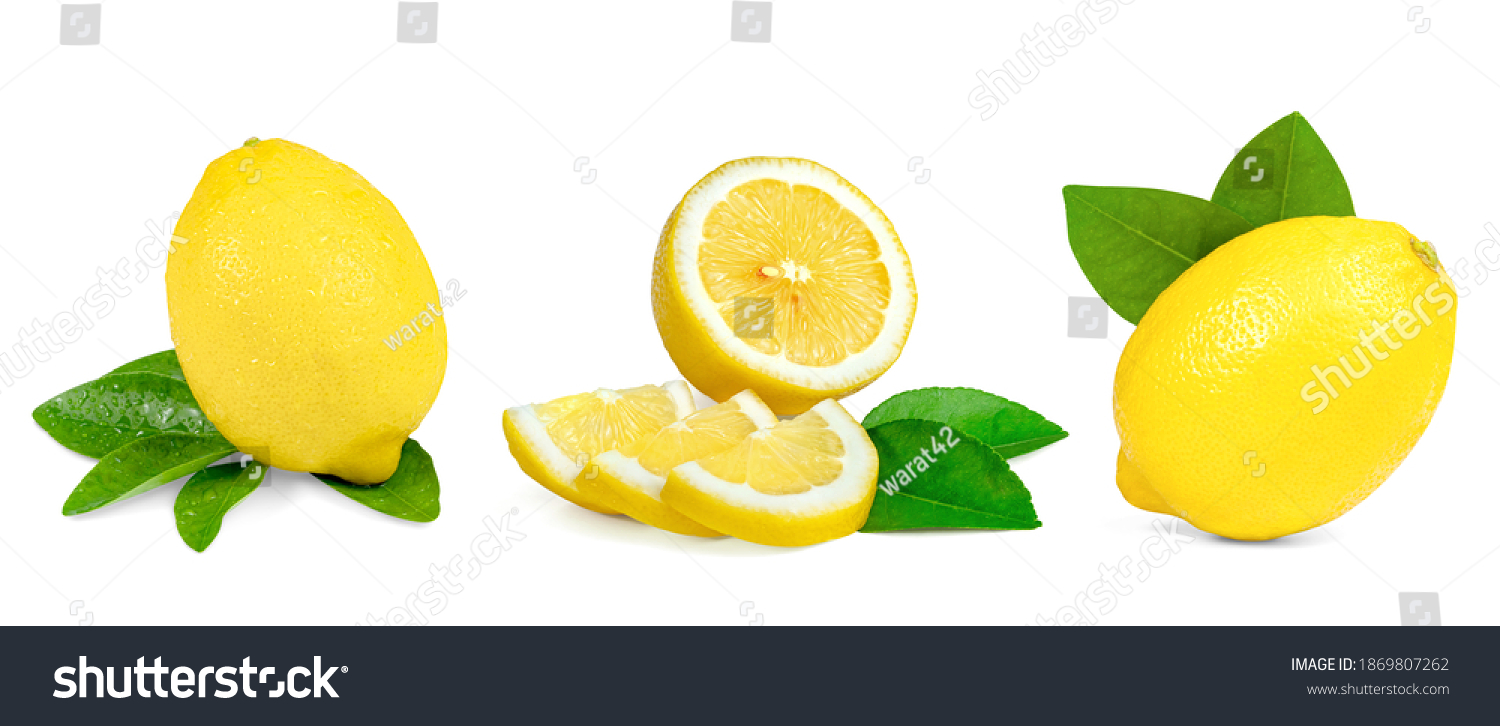 Collection Lemon Leaf Isolated On White Stock Photo 1869807262