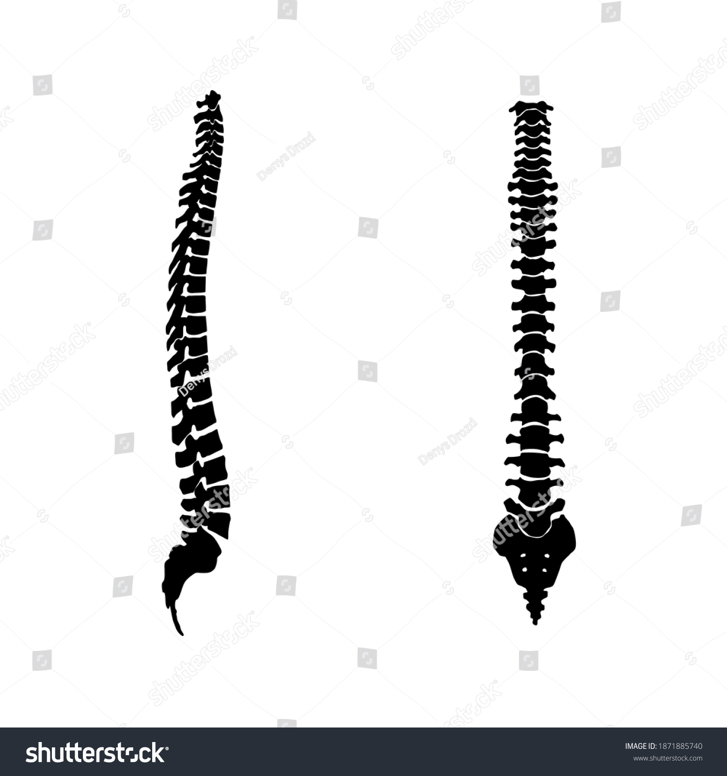 Ridge Icon Vector Set Spine Illustration Stock Vector (Royalty Free ...