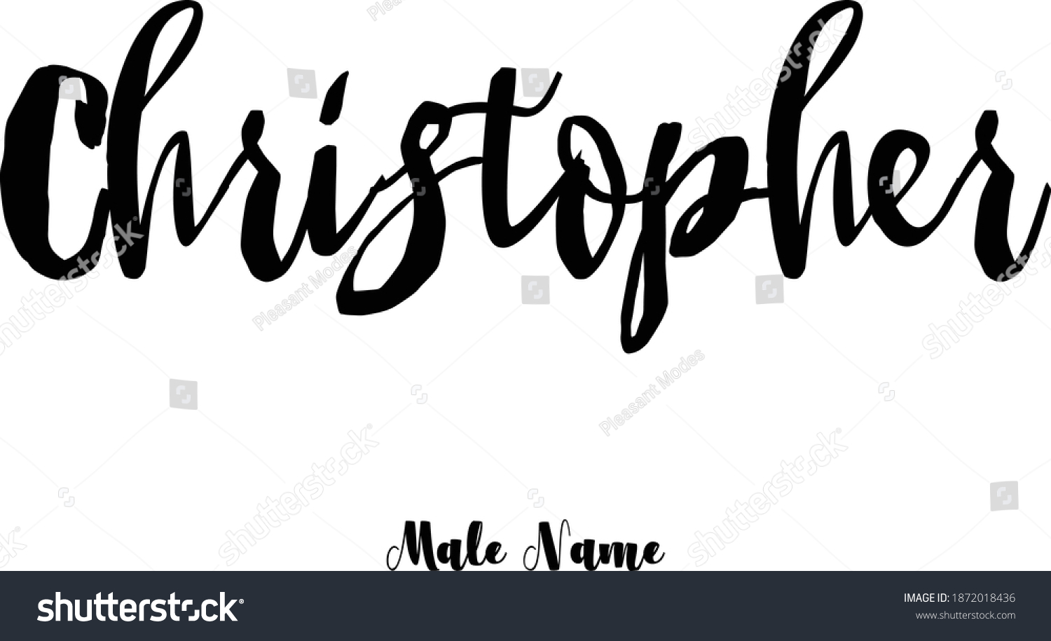 Connormale Name Bold Cursive Calligraphy Typeface Stock Vector Royalty