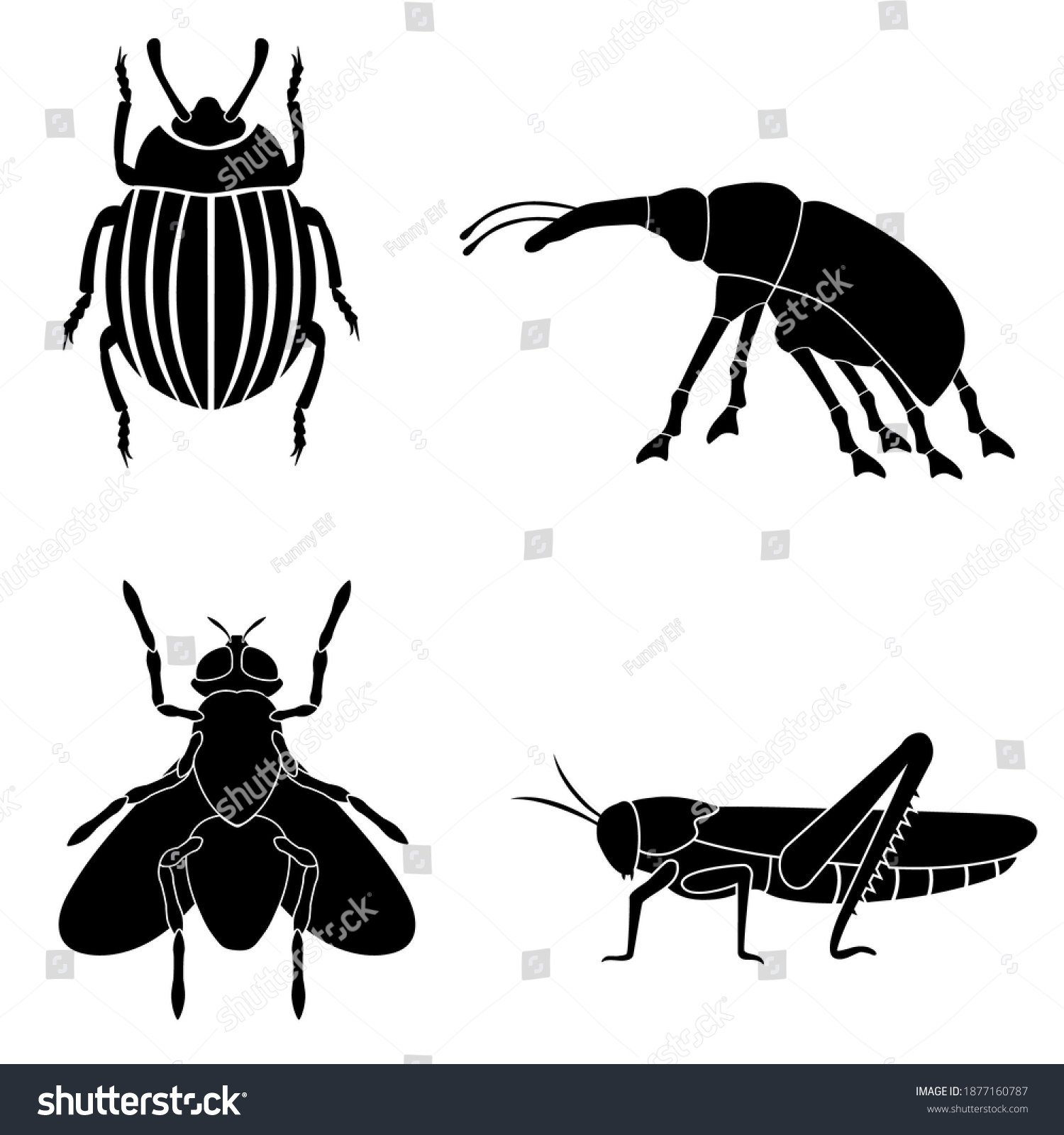 Set Four Insects Agricultural Pests Black Stock Vector (royalty Free 