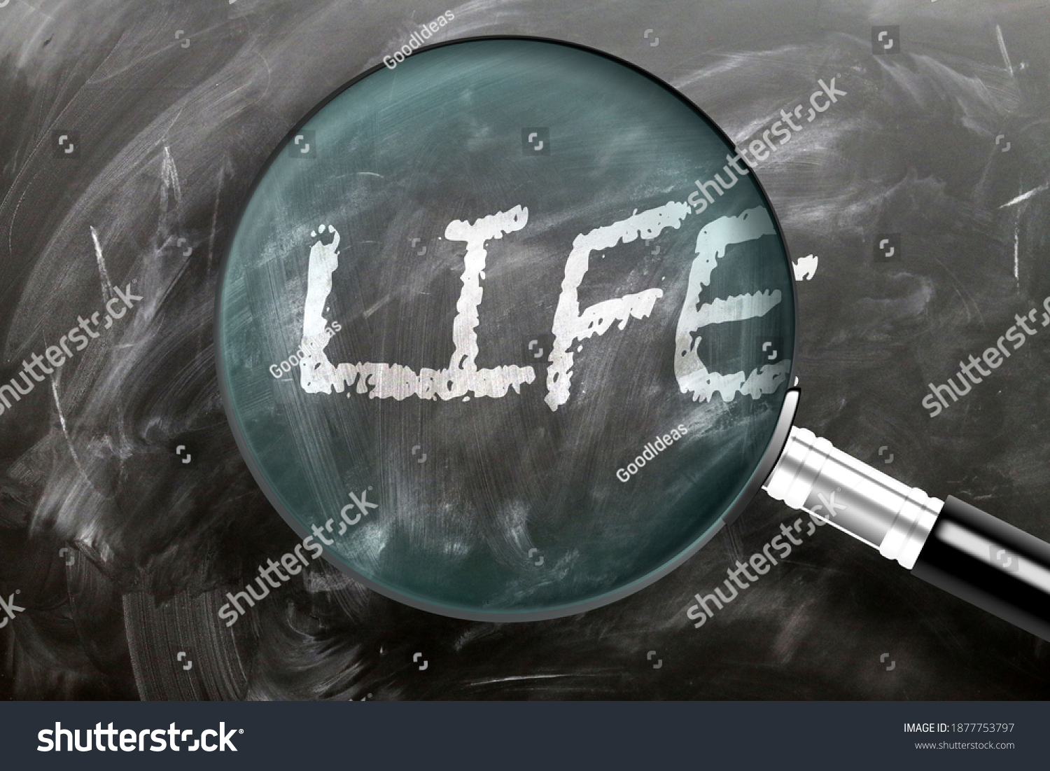 Learn Study Inspect Life Pictured Magnifying Stock Illustration ...