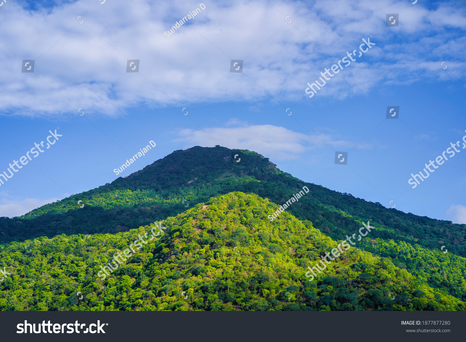 Nilgiri Biosphere : 245 Images, Photos Et Images Vectorielles De Stock ...