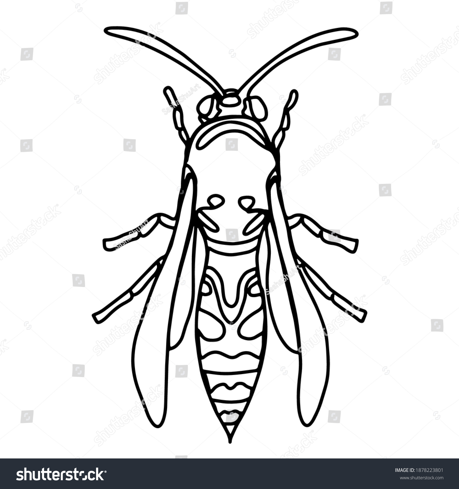 Vector Drawing Wasp Linear Art Hand Stock Vector (Royalty Free ...