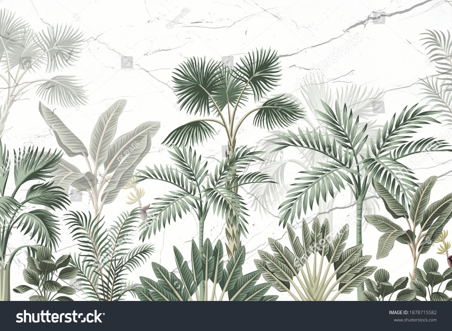 Wallpaper Various Tropical Trees Banana Palm Stock Illustration ...