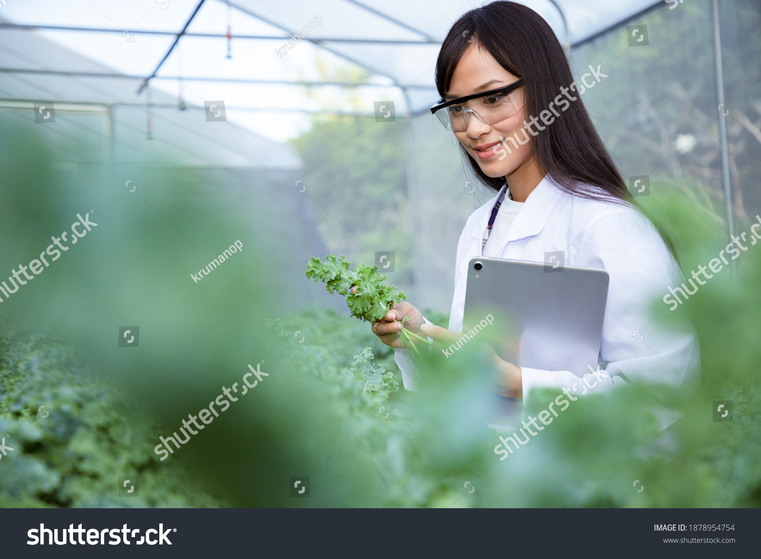 Asian Beautiful Biotechnologist Showing Kale Vegetable Stock Photo ...