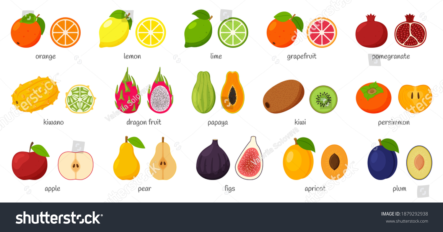 Large Collection Tropical Exotic Citrus Fruits Stock Vector (Royalty ...