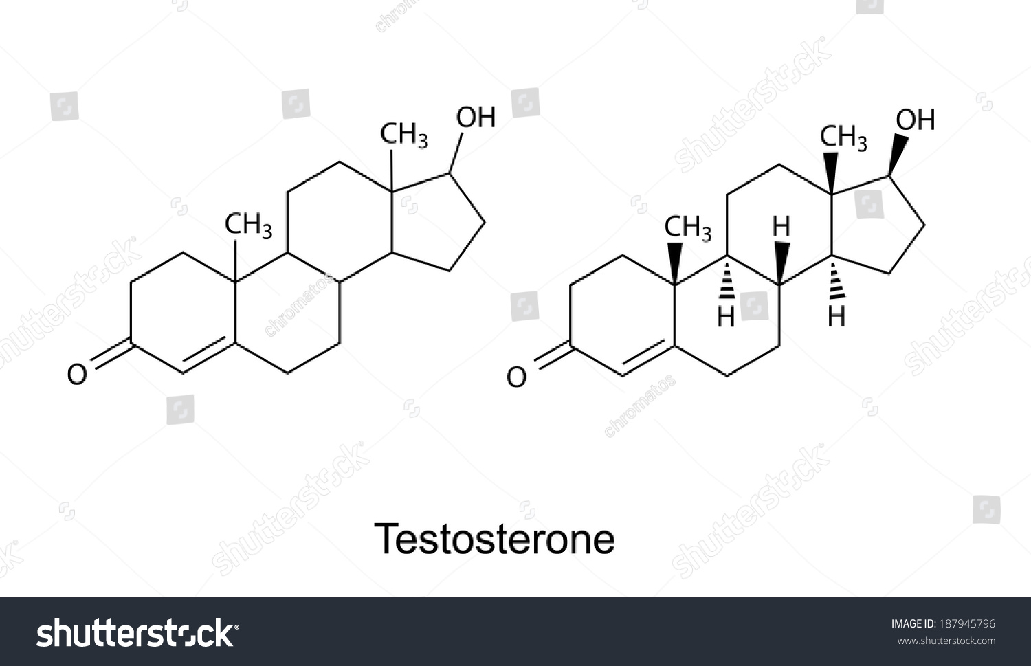 Structural Formulas Testosterone Molecule 2d Illustration Stock ...