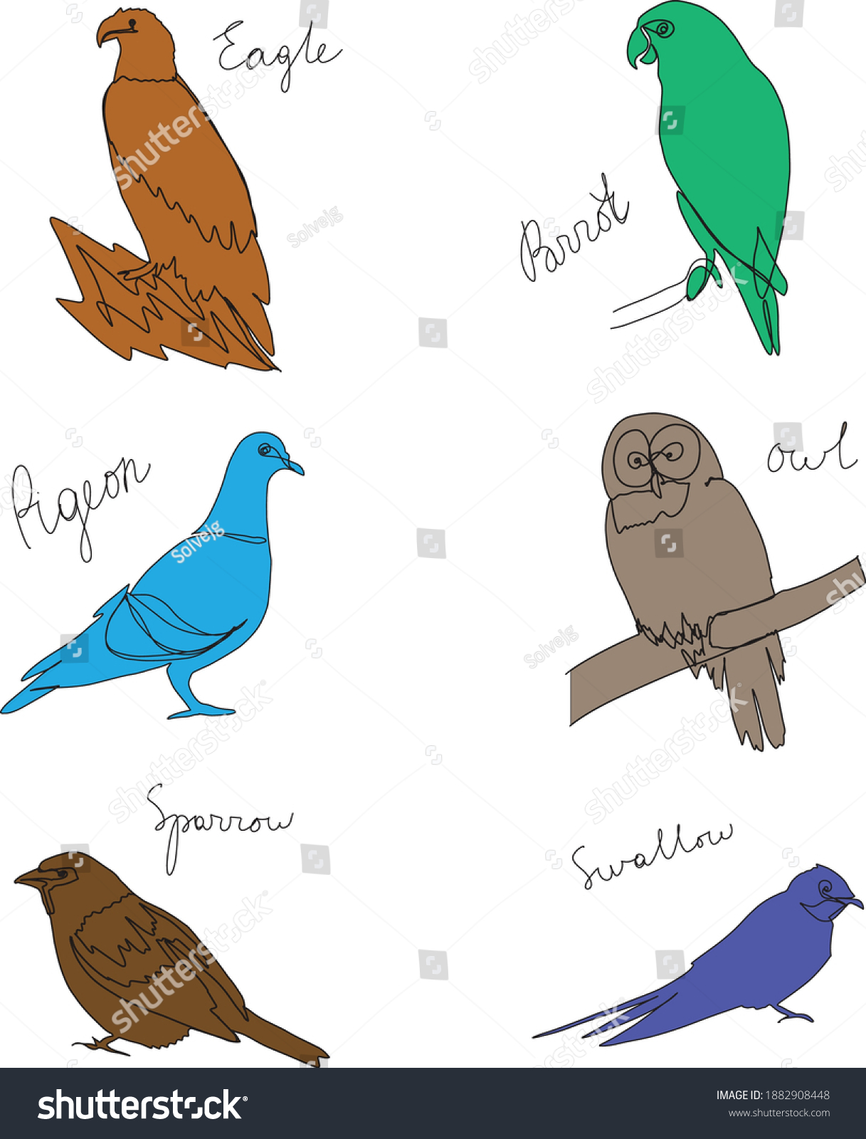 Birds Names Hand Drawn Vector Set เวกเตอร์สต็อก (ปลอดค่าลิขสิทธิ์) 1882908448 Shutterstock