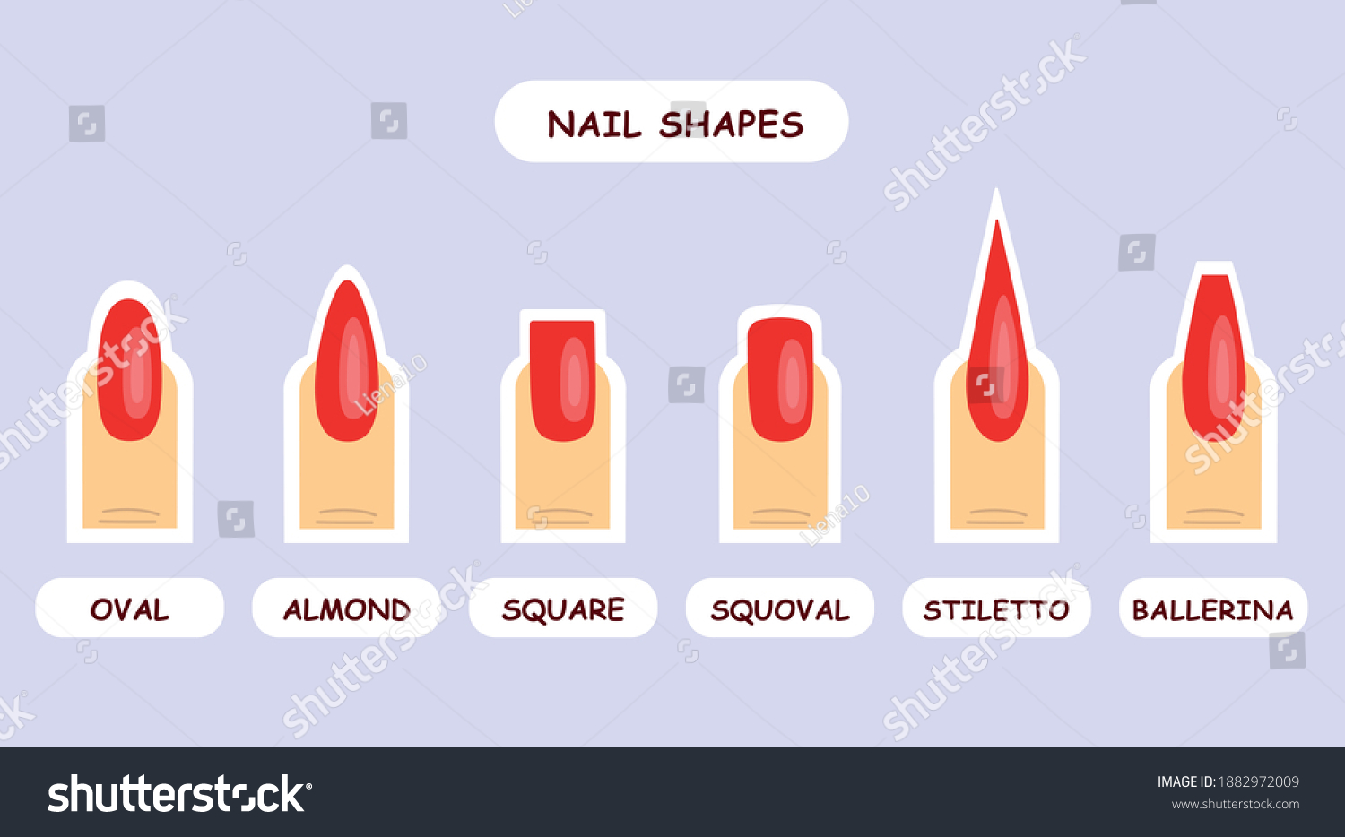 Most Popular Nail Shapes Stock Vector (Royalty Free) 1882972009 ...