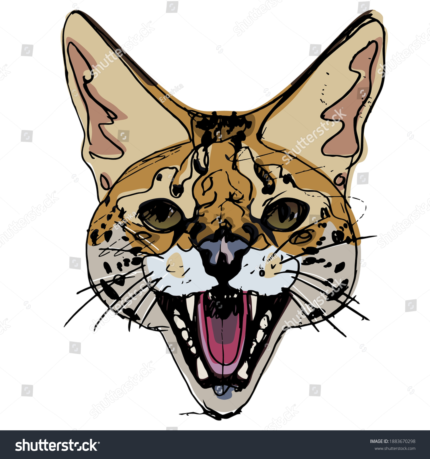 serval drawing