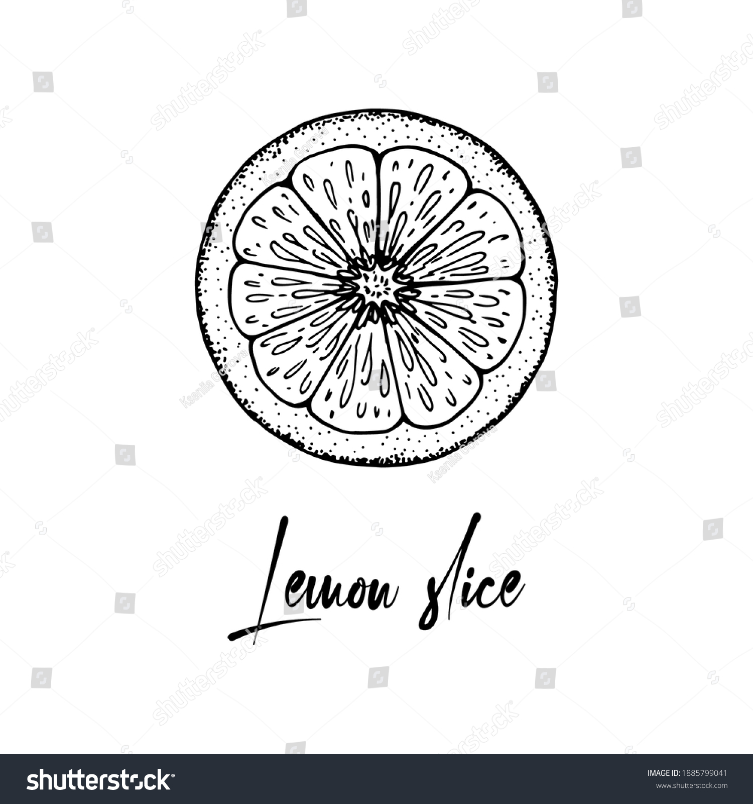 Hand Drawn Slice Lemon Isolated On Stock Vector (Royalty Free ...