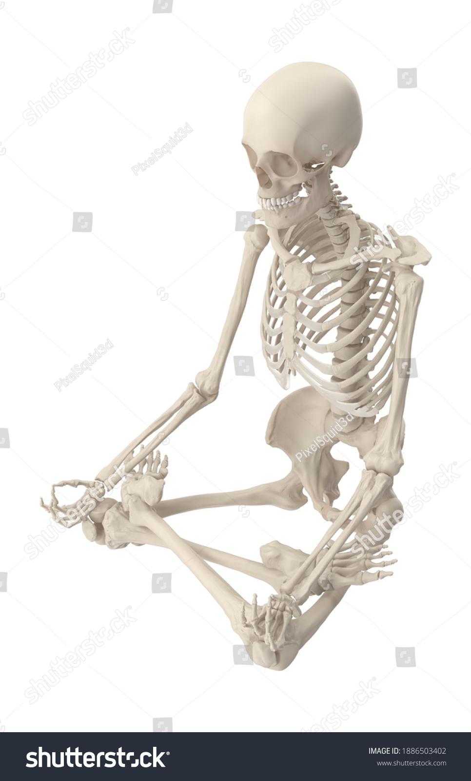 Skeleton Lotus Pose 3d Illustration On Stock Illustration 1886503402 ...