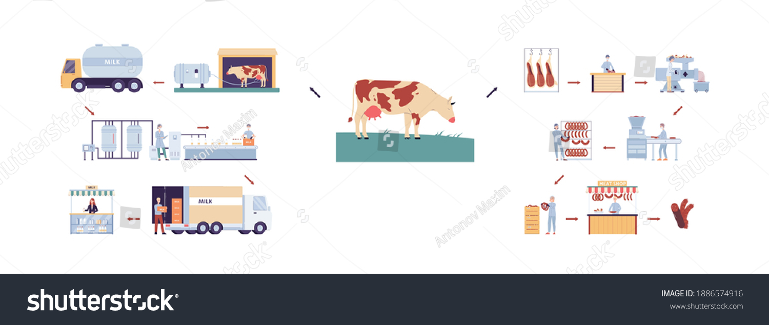 Collection Dairy Farm Milk Factory Infographics Stock Vector (Royalty ...