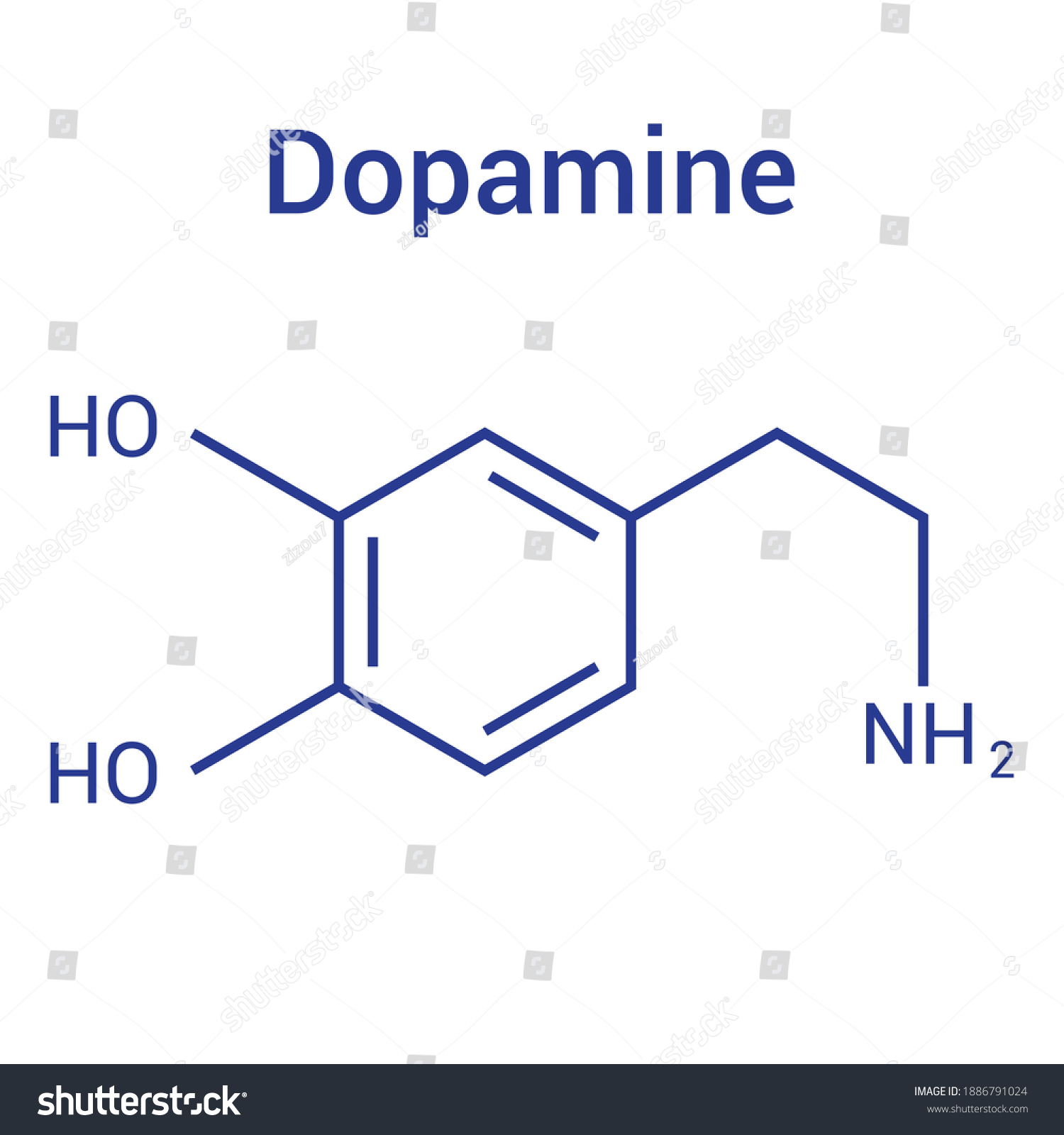 Dopamine Structural Chemical Formula Vector Stock Vector (Royalty Free ...