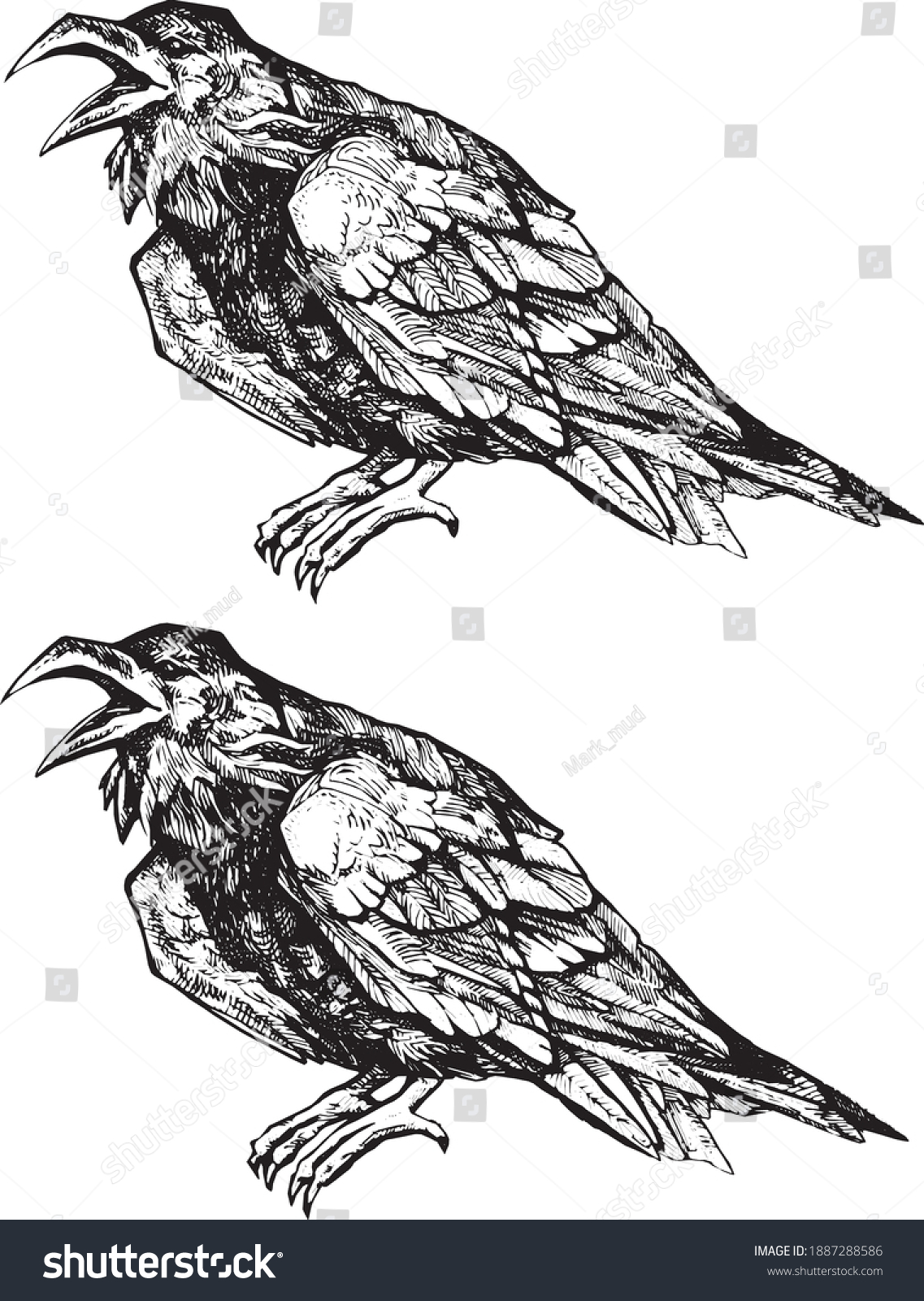 Vector Cartoon Raven Line Art Doodle Stock Vector (Royalty Free ...