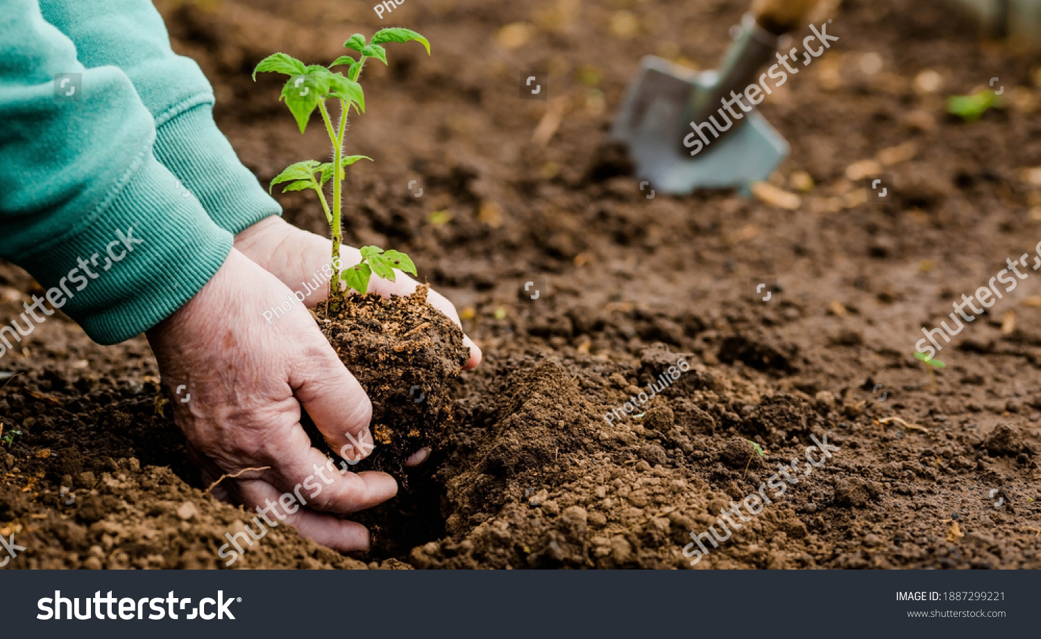 5,298 Soiled Elder Images, Stock Photos & Vectors | Shutterstock