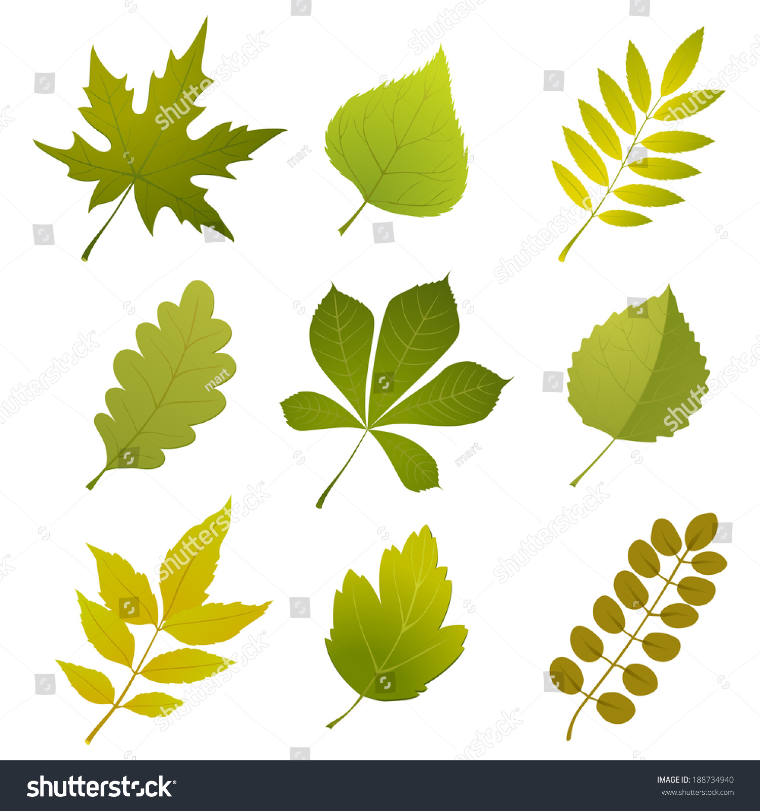 Green Leaves Icons Over White Background Stock Vector (Royalty Free ...