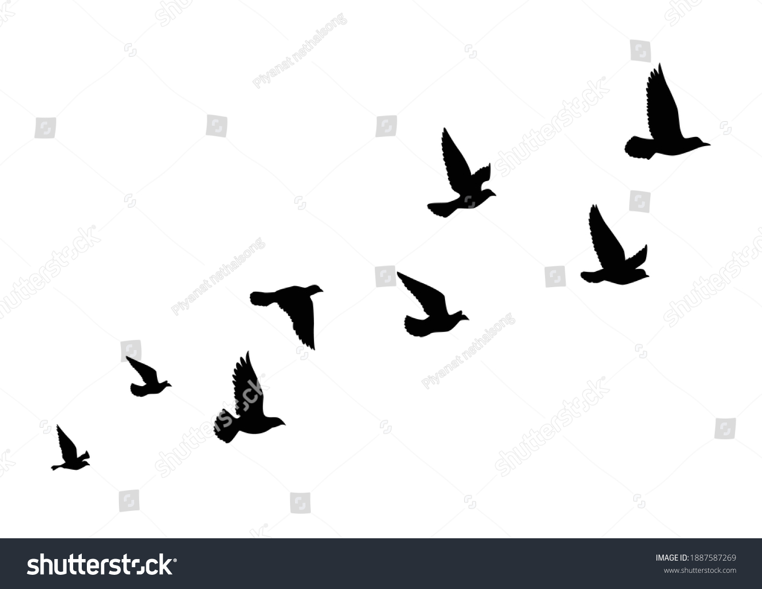 Flying Birds Silhouettes On White Background Stock Vector (Royalty Free